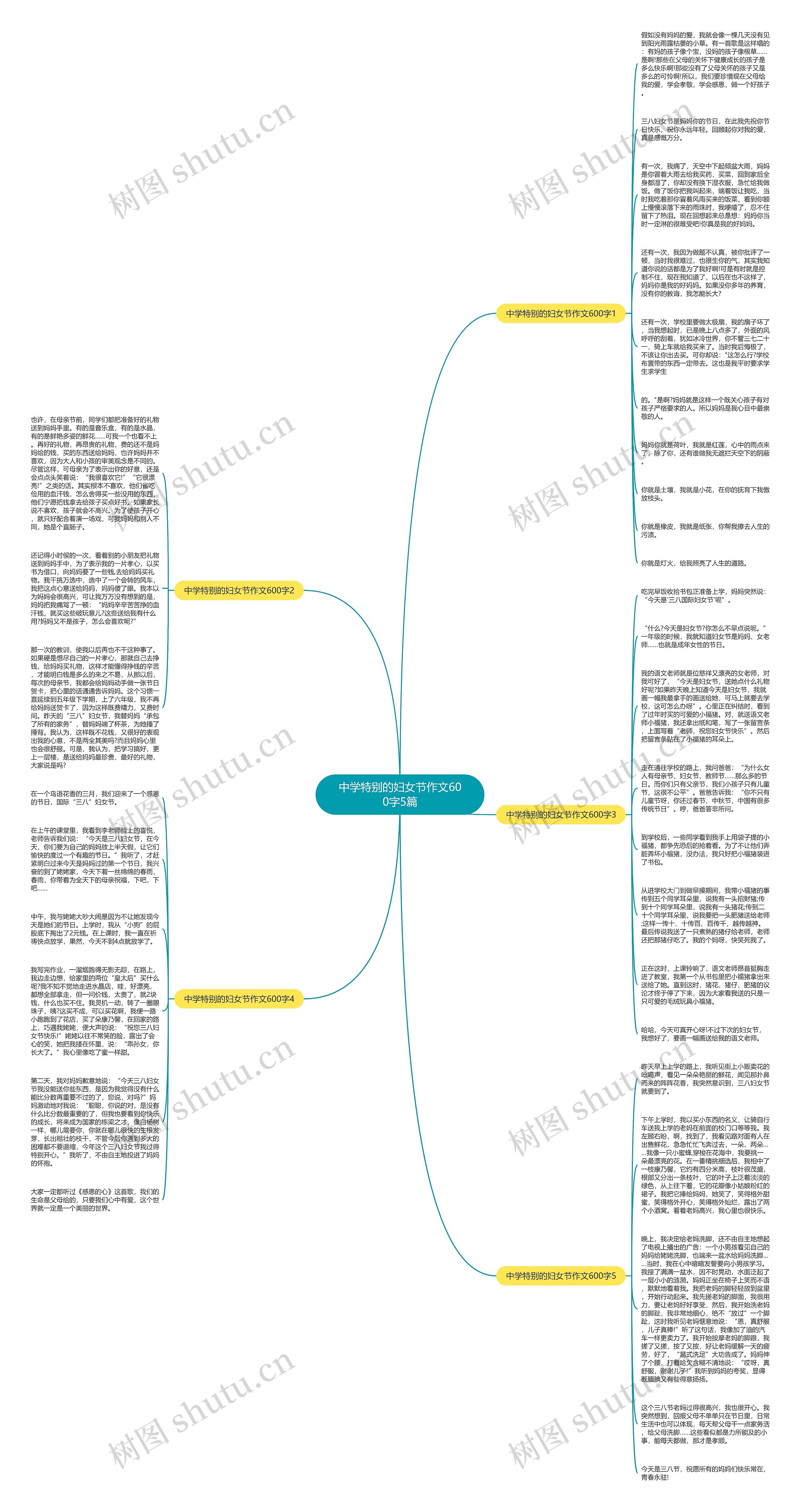 中学特别的妇女节作文600字5篇思维导图