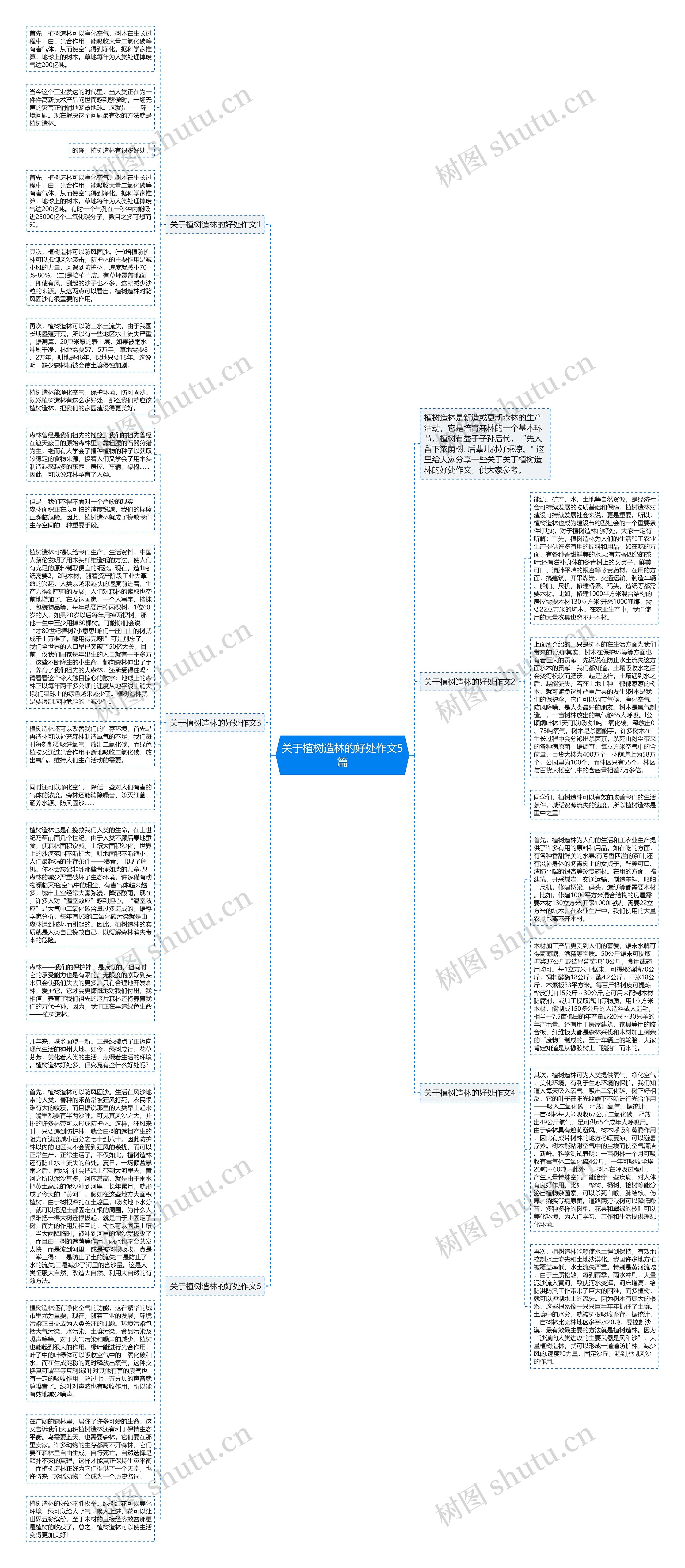 关于植树造林的好处作文5篇思维导图