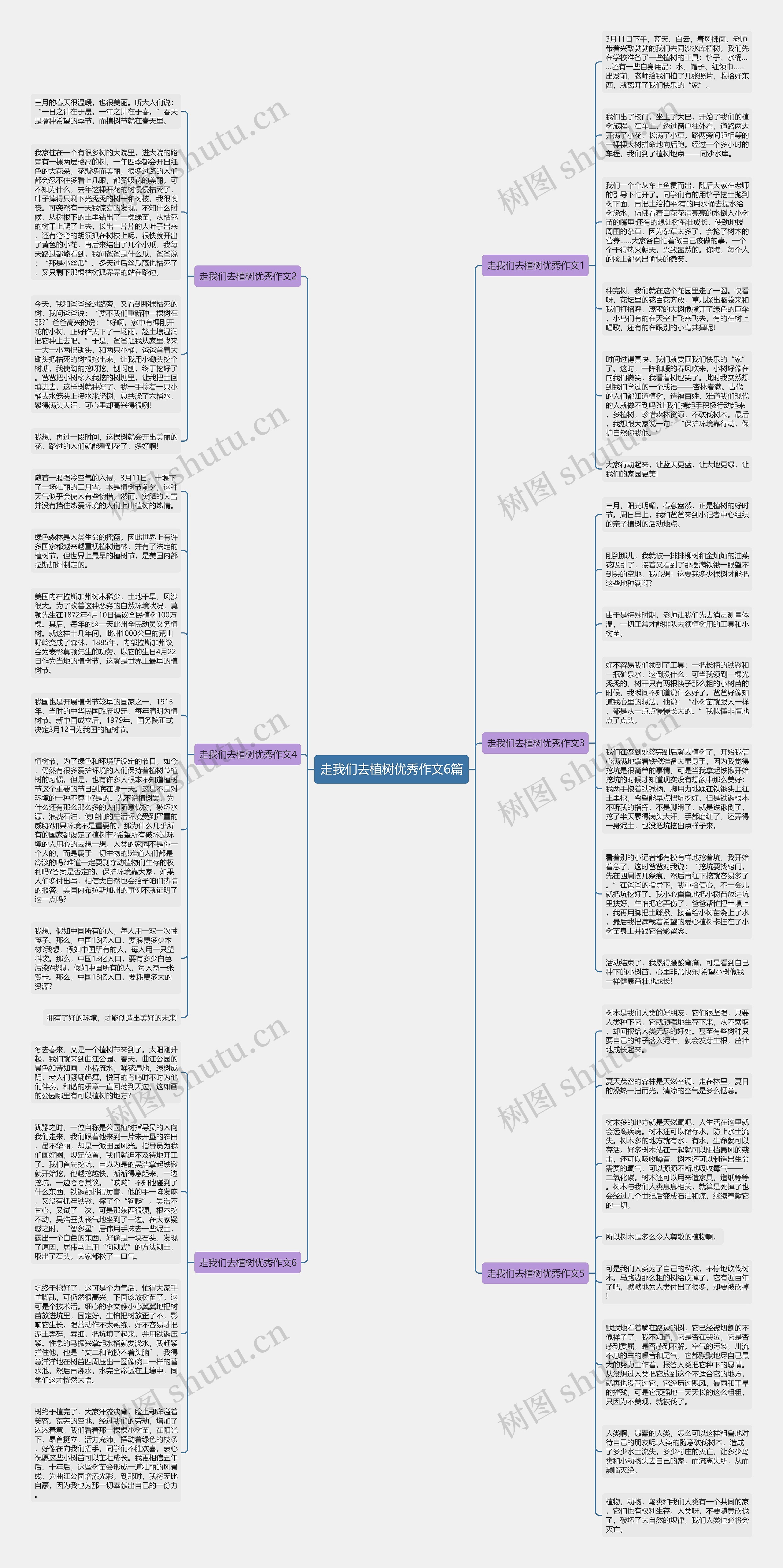 走我们去植树优秀作文6篇思维导图