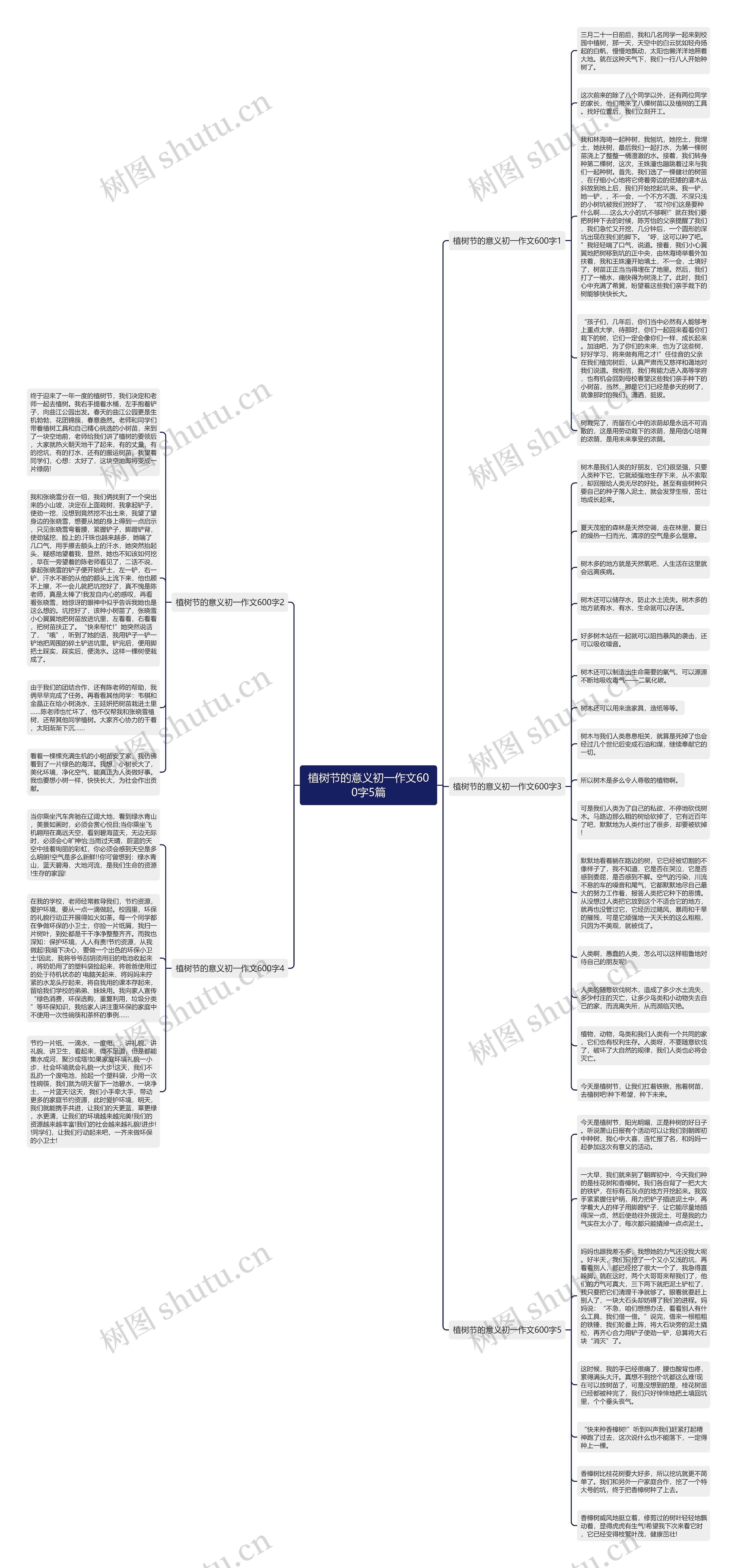 植树节的意义初一作文600字5篇思维导图