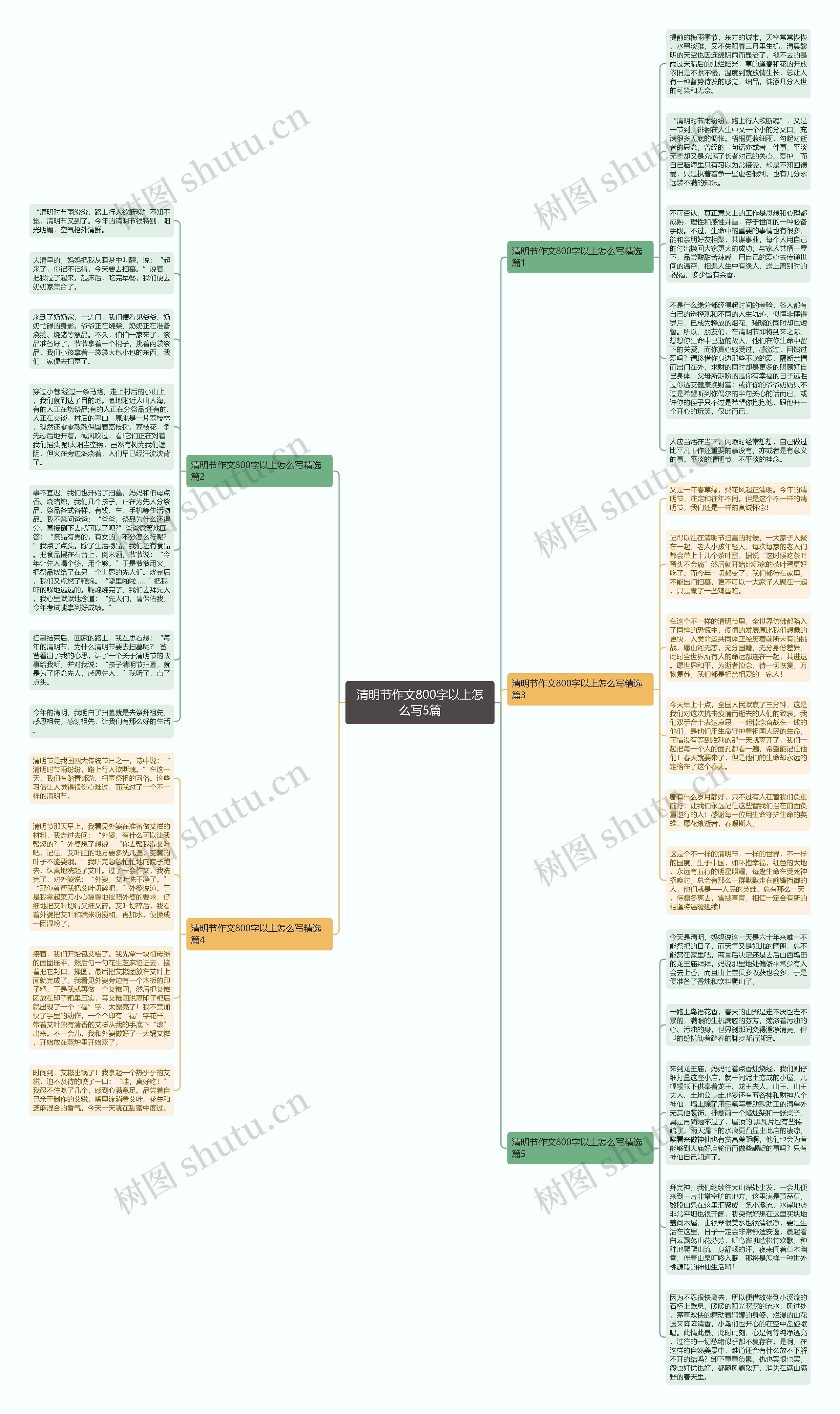 清明节作文800字以上怎么写5篇思维导图