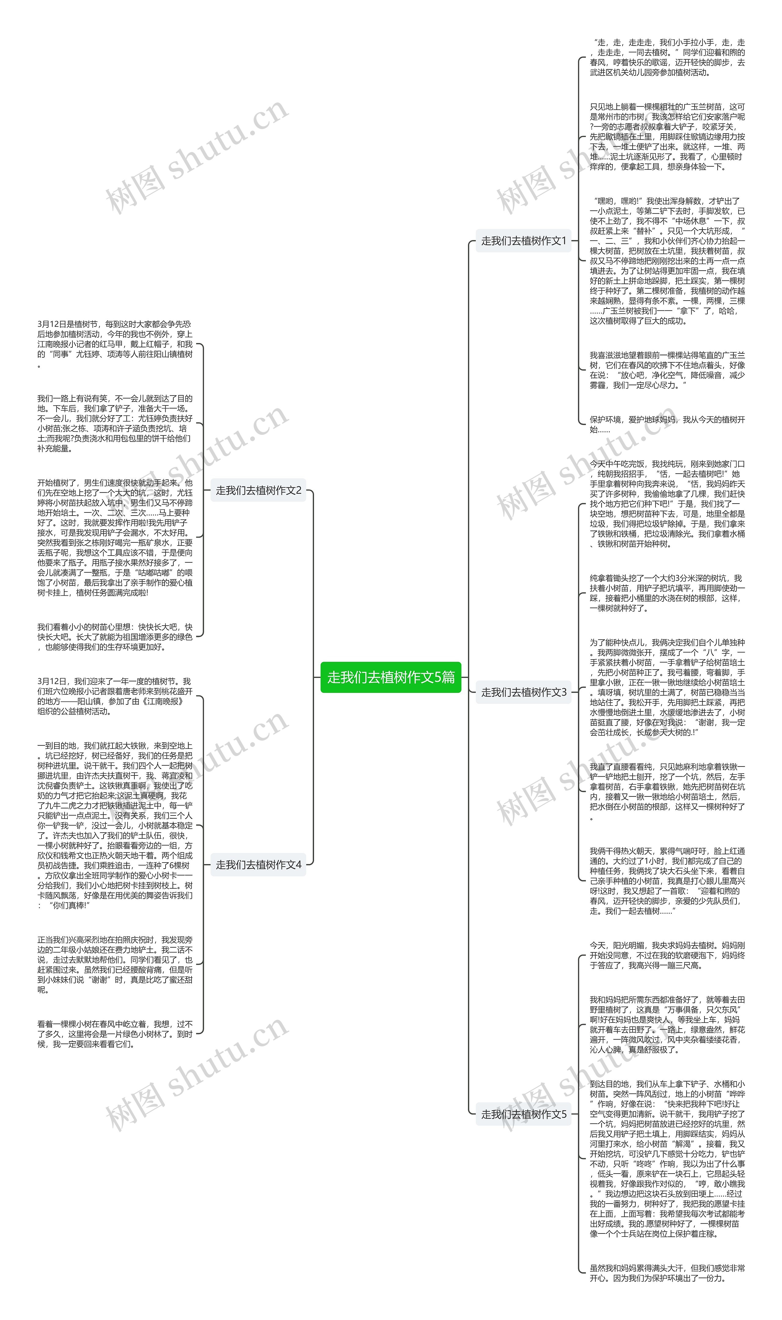 走我们去植树作文5篇思维导图