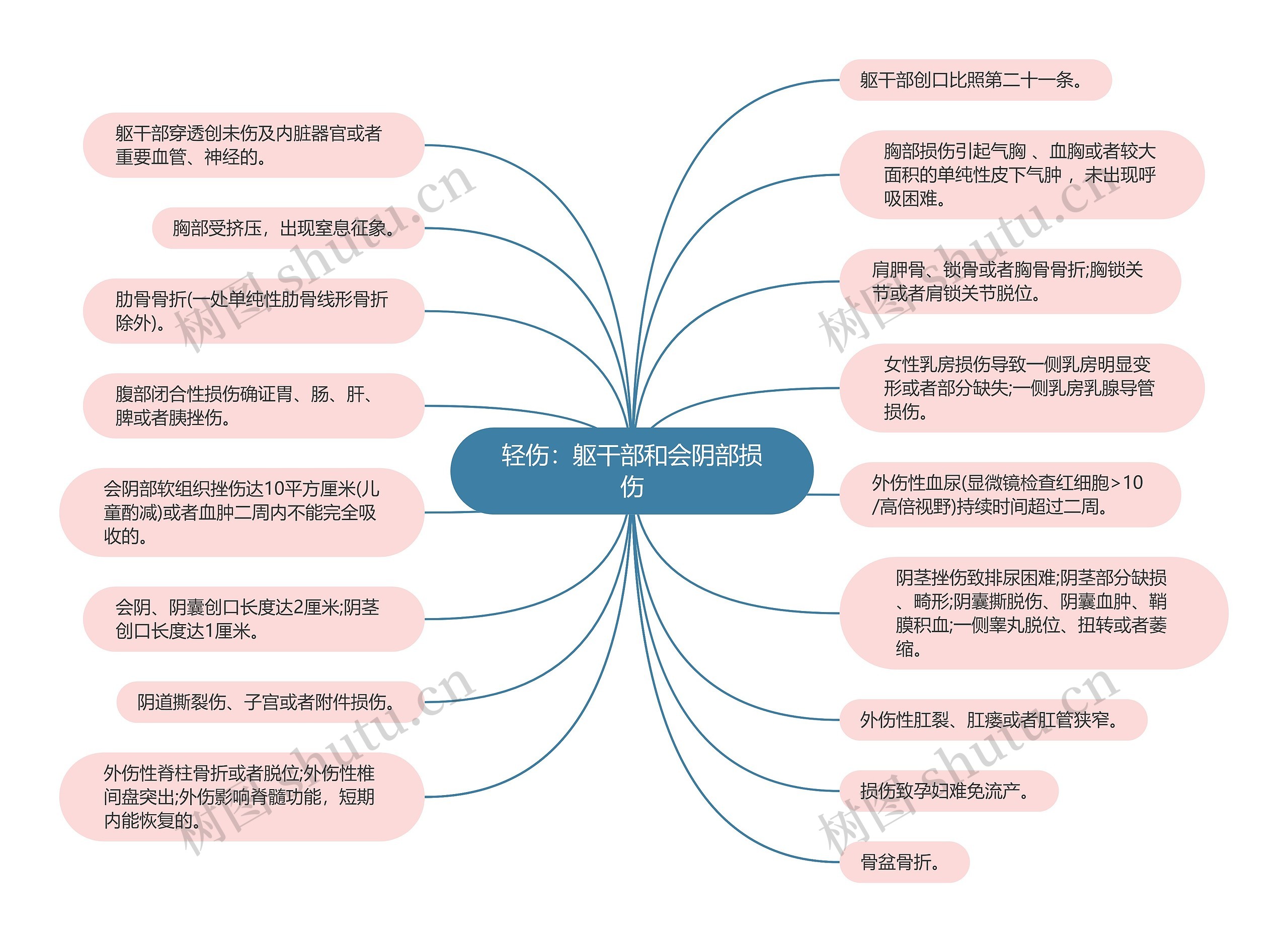 轻伤：躯干部和会阴部损伤思维导图