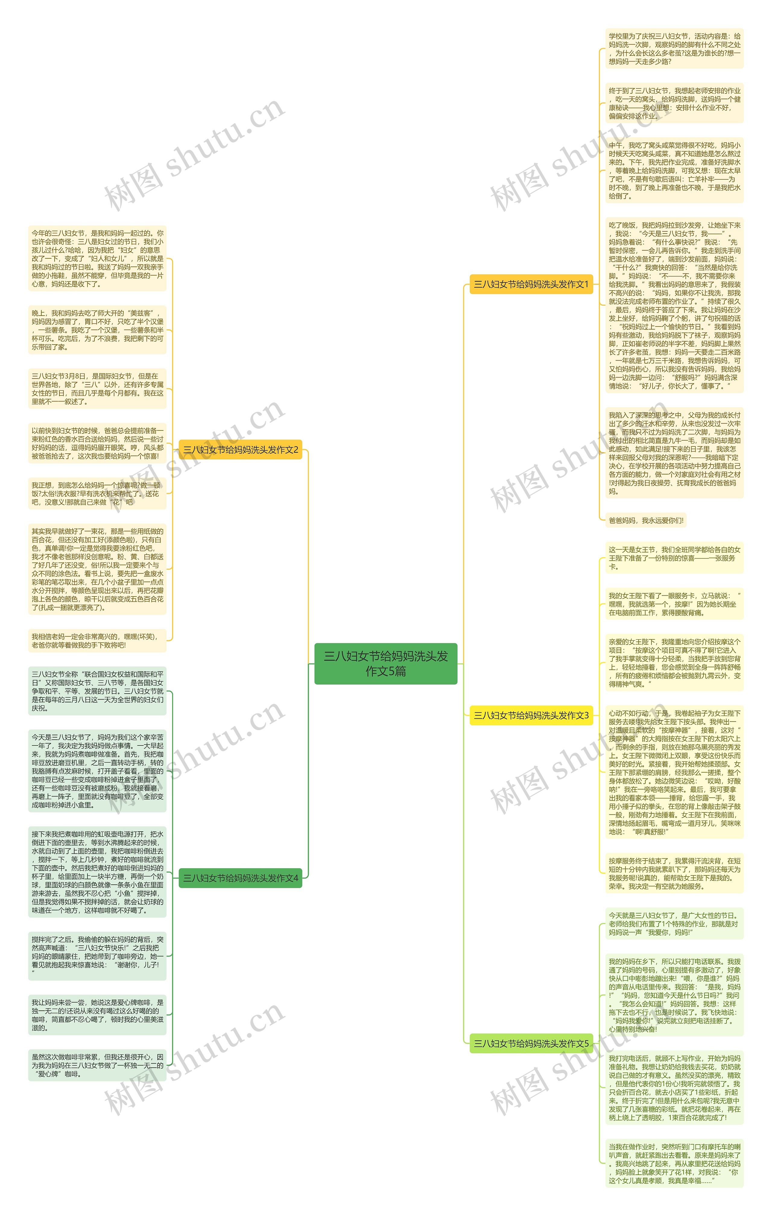 三八妇女节给妈妈洗头发作文5篇思维导图