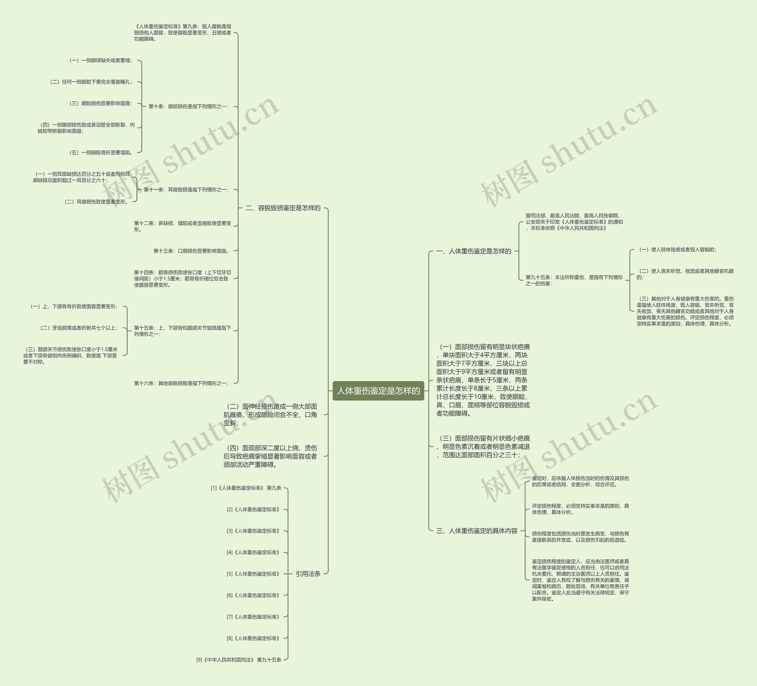 人体重伤鉴定是怎样的思维导图