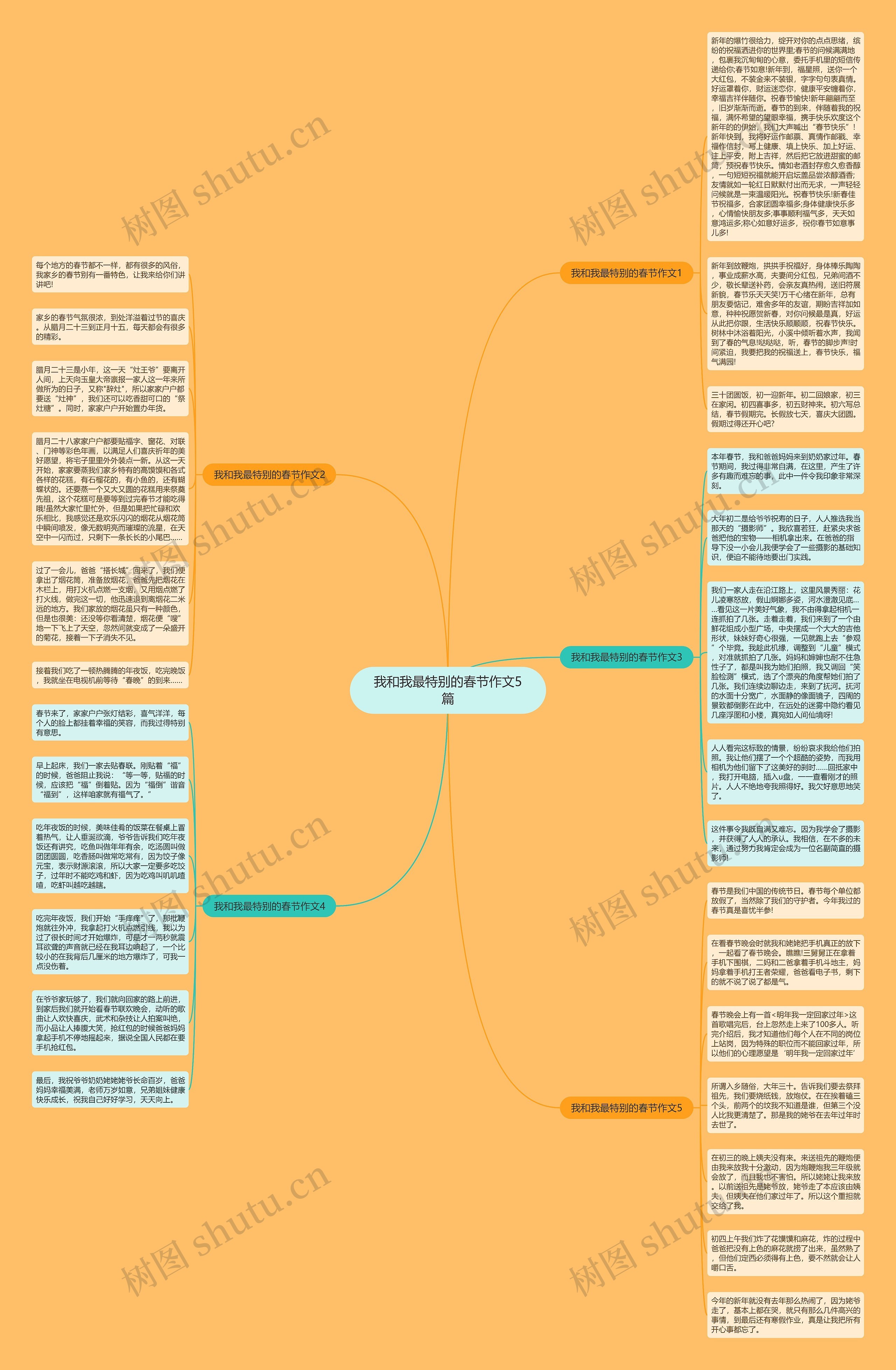 我和我最特别的春节作文5篇思维导图