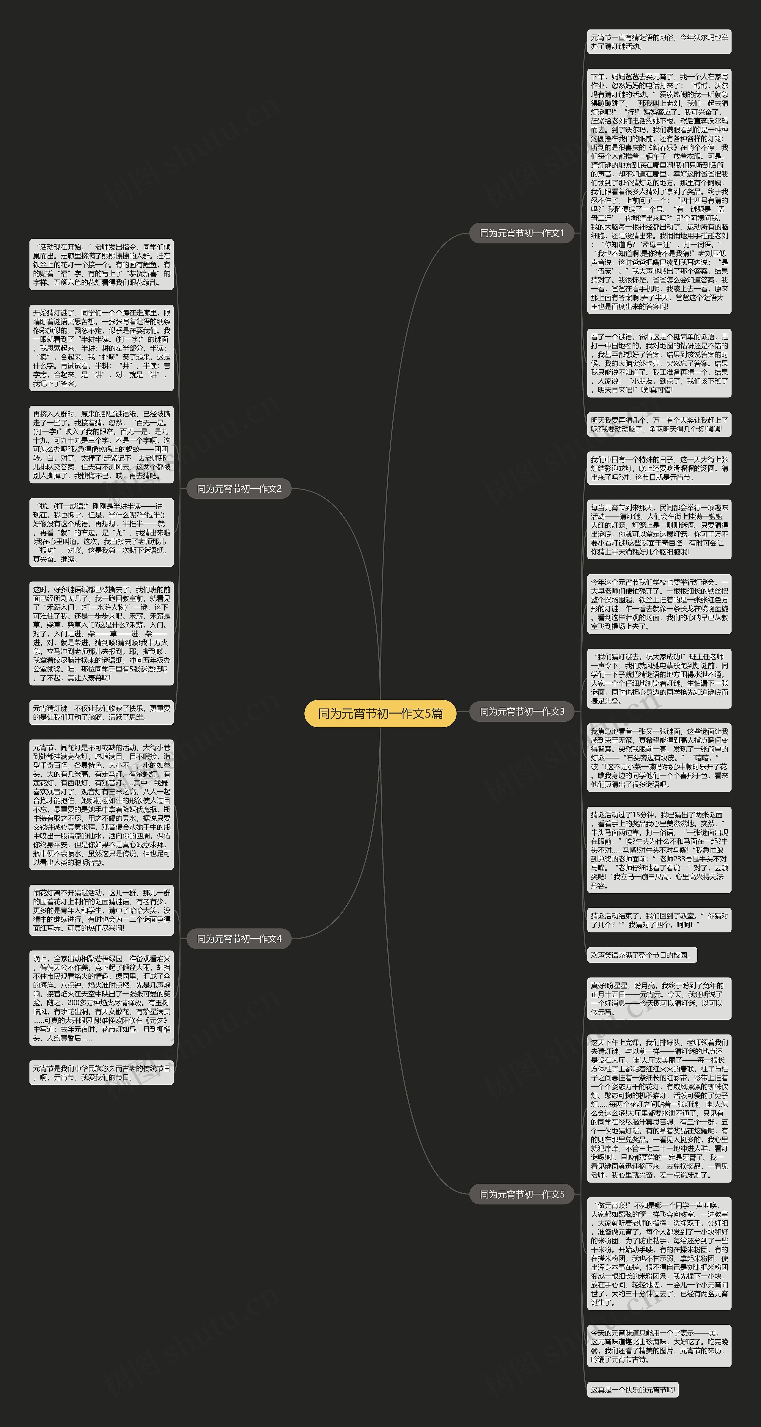 同为元宵节初一作文5篇思维导图