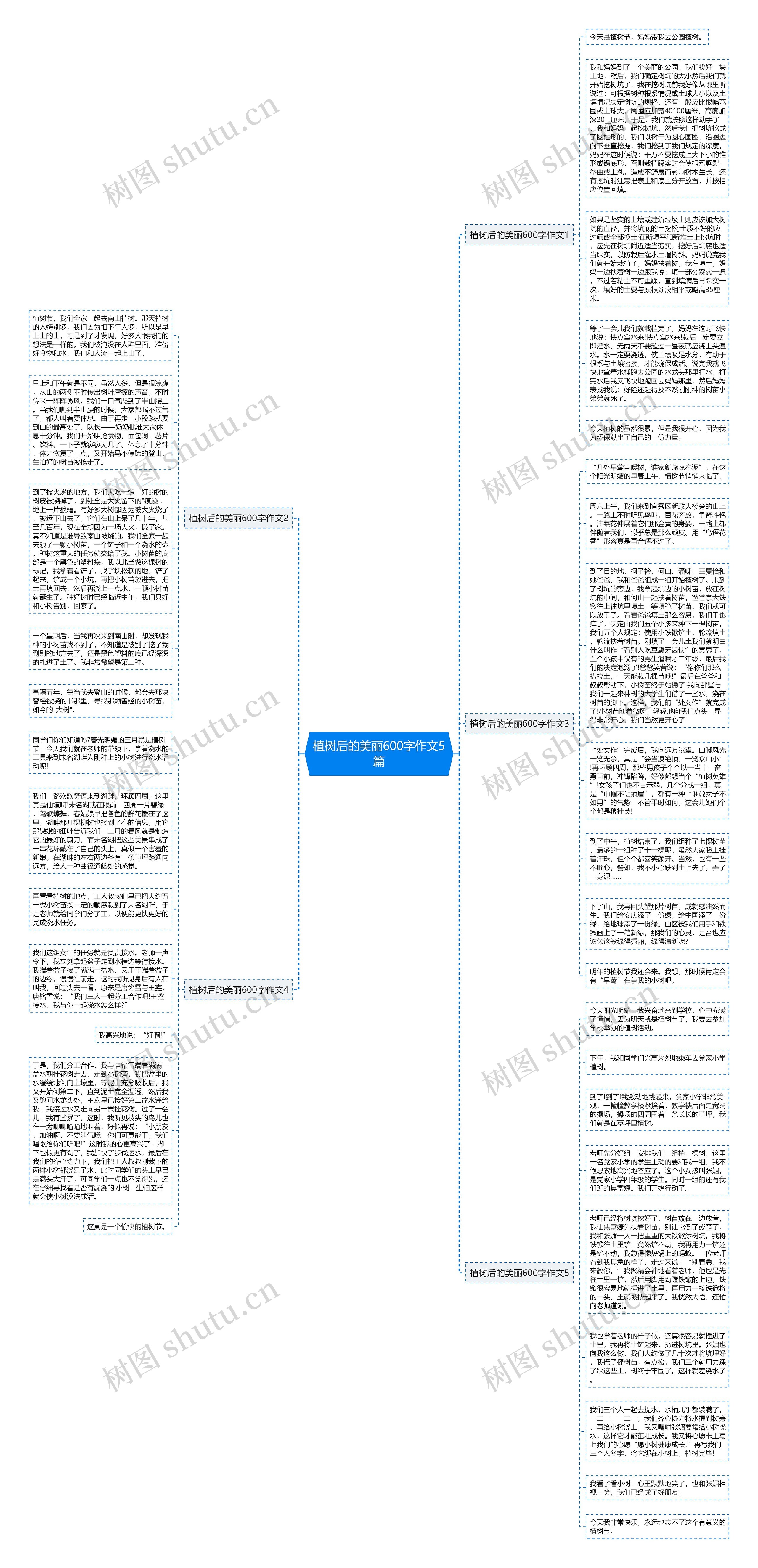 植树后的美丽600字作文5篇思维导图