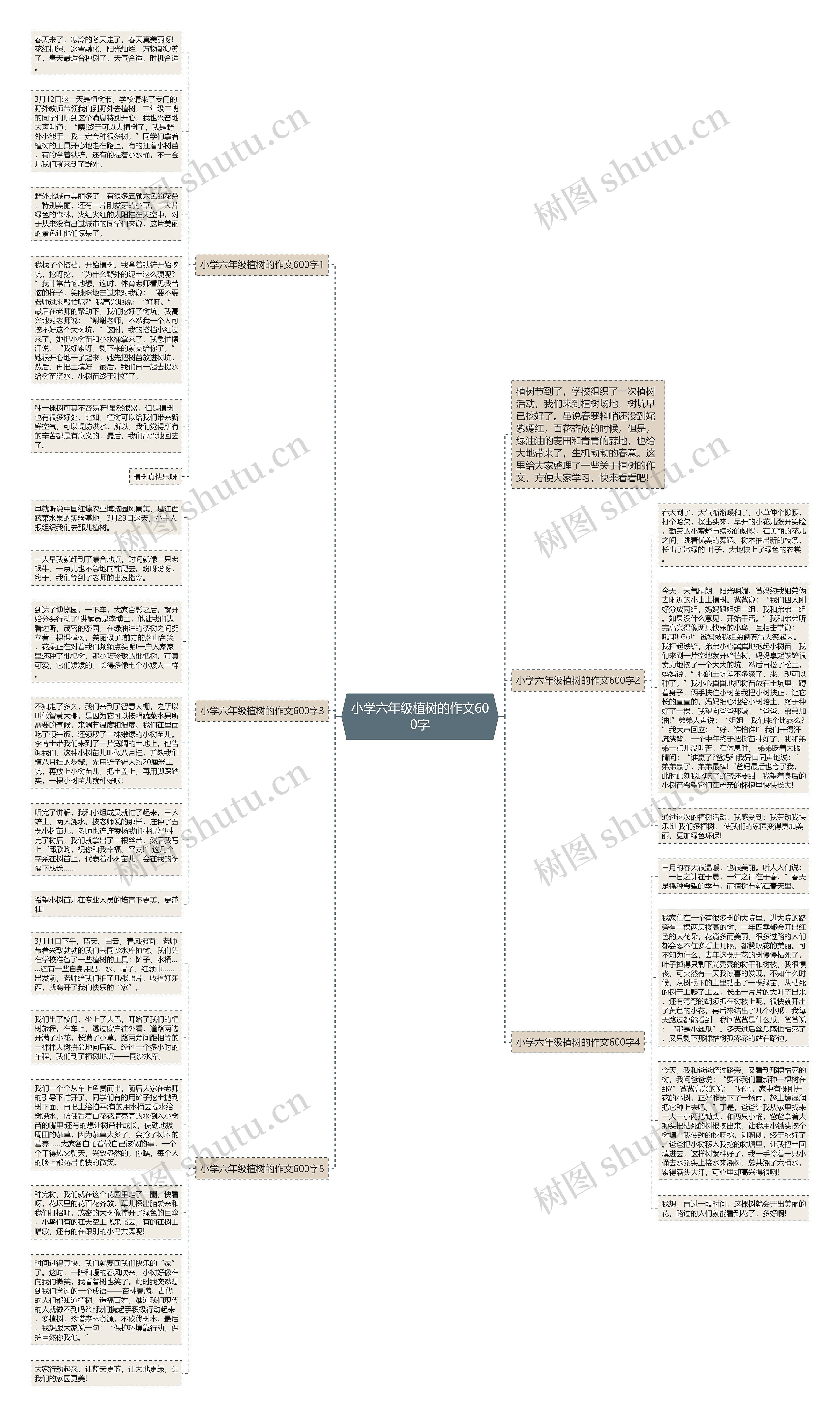 小学六年级植树的作文600字思维导图