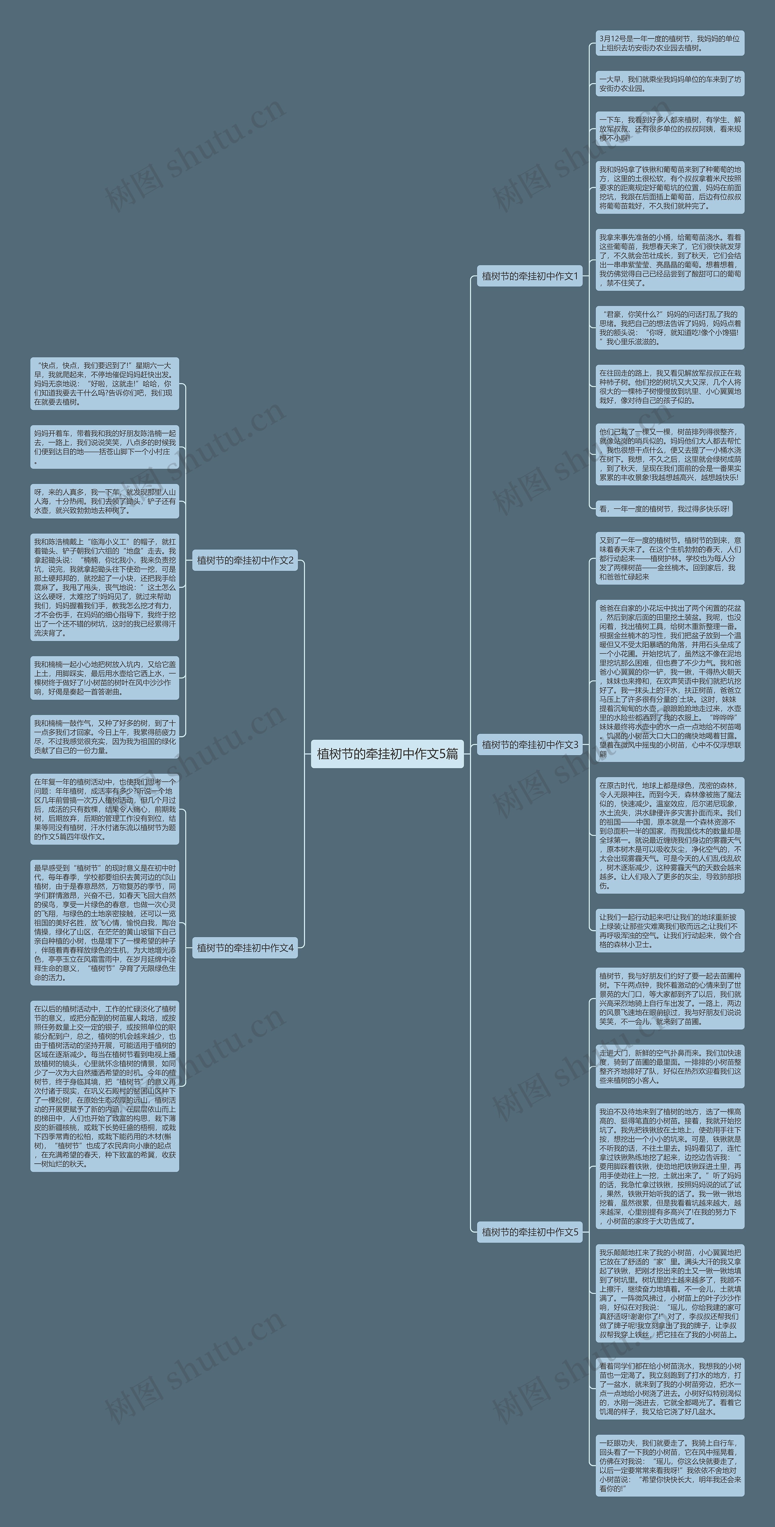 植树节的牵挂初中作文5篇思维导图