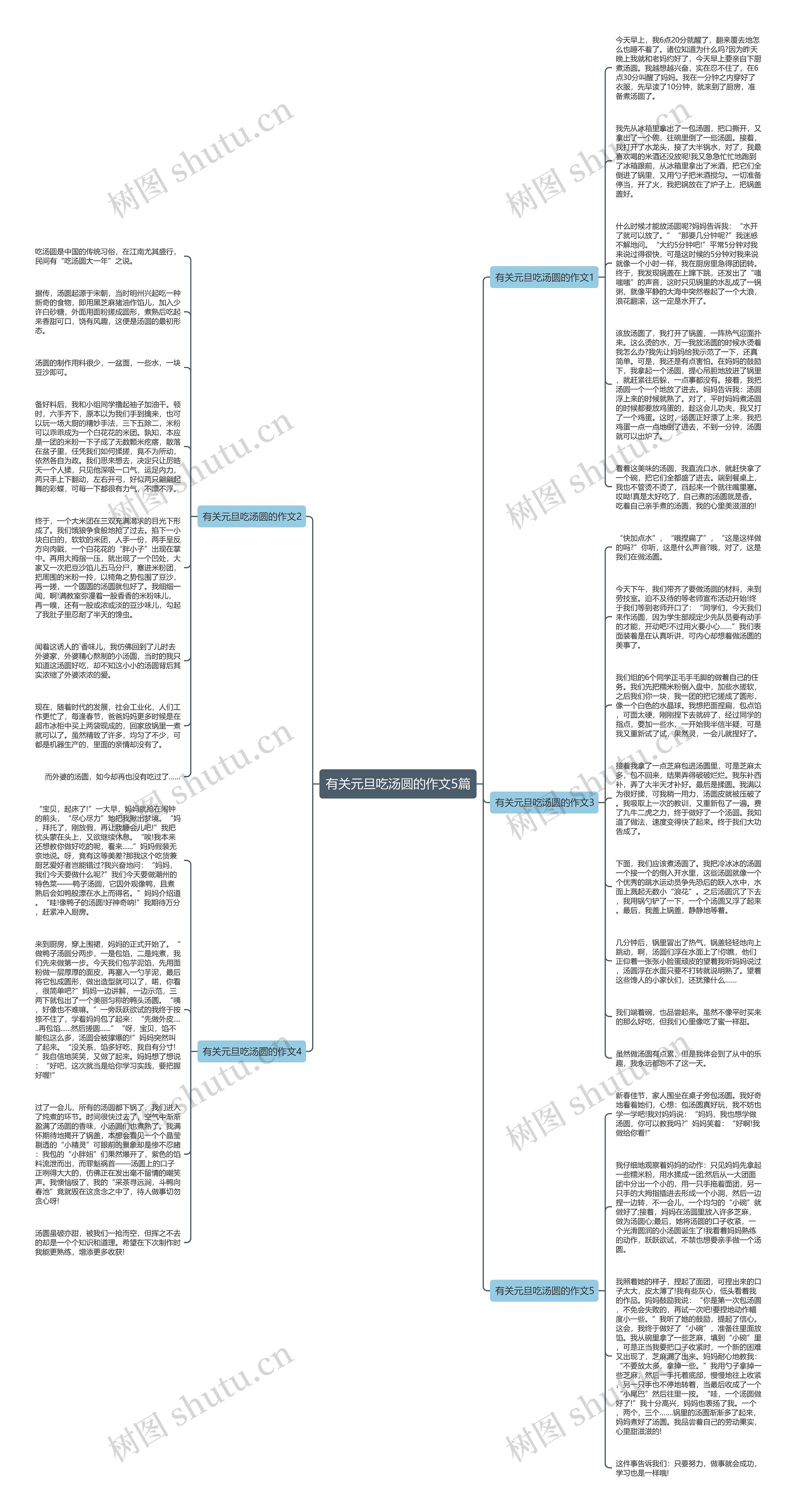 有关元旦吃汤圆的作文5篇思维导图