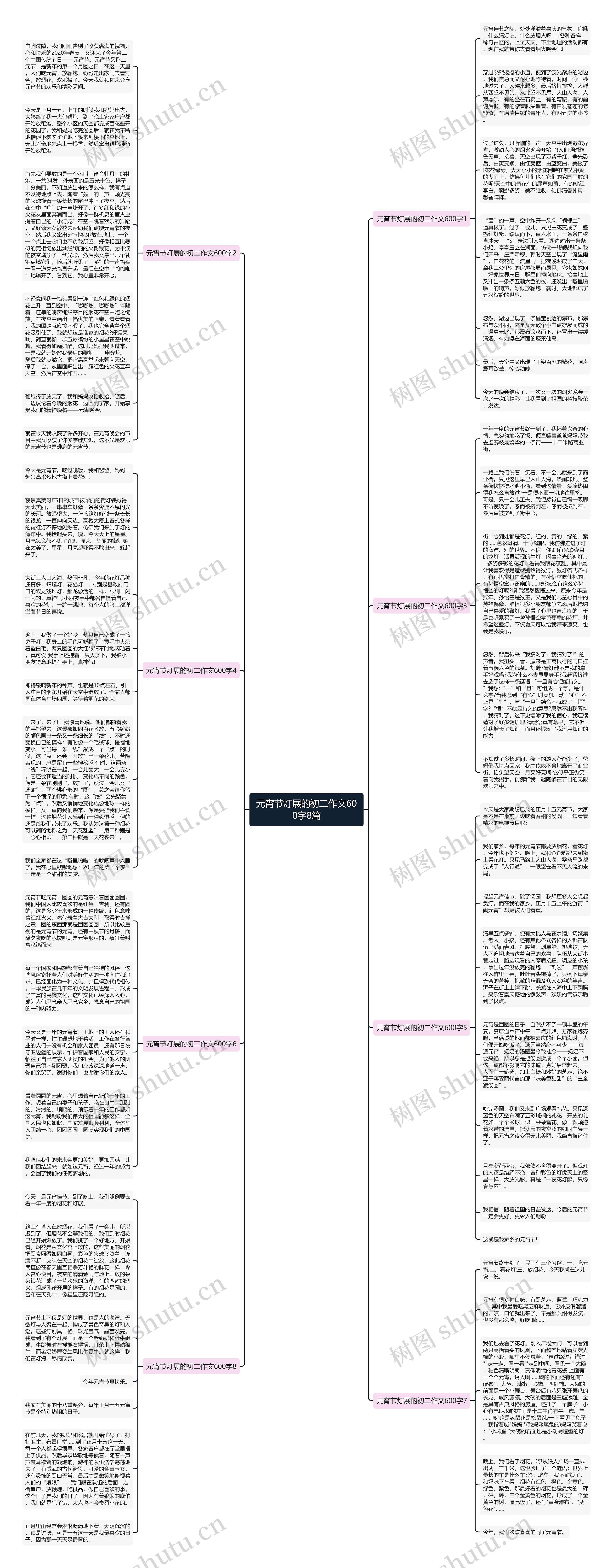 元宵节灯展的初二作文600字8篇思维导图