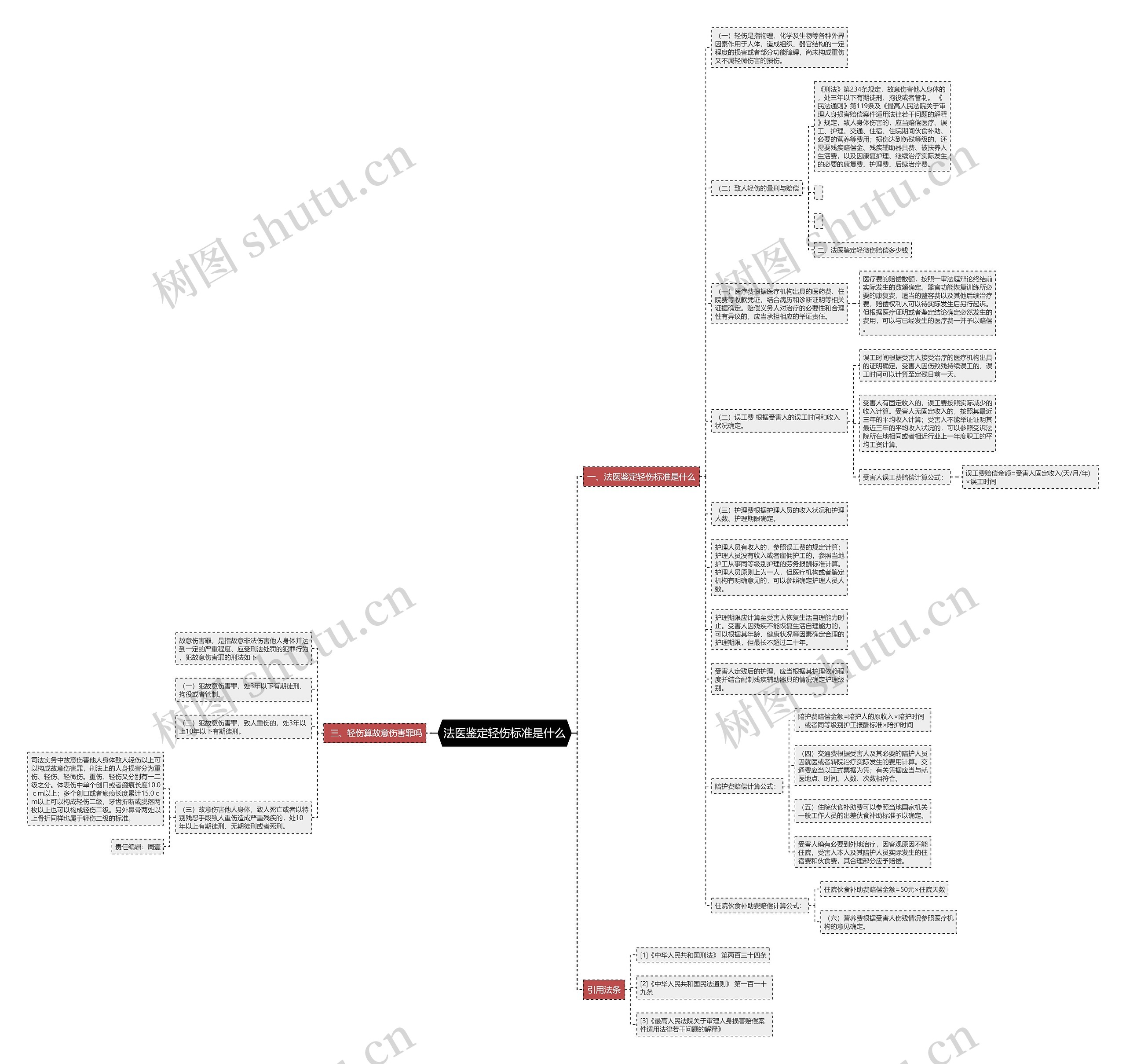 法医鉴定轻伤标准是什么思维导图