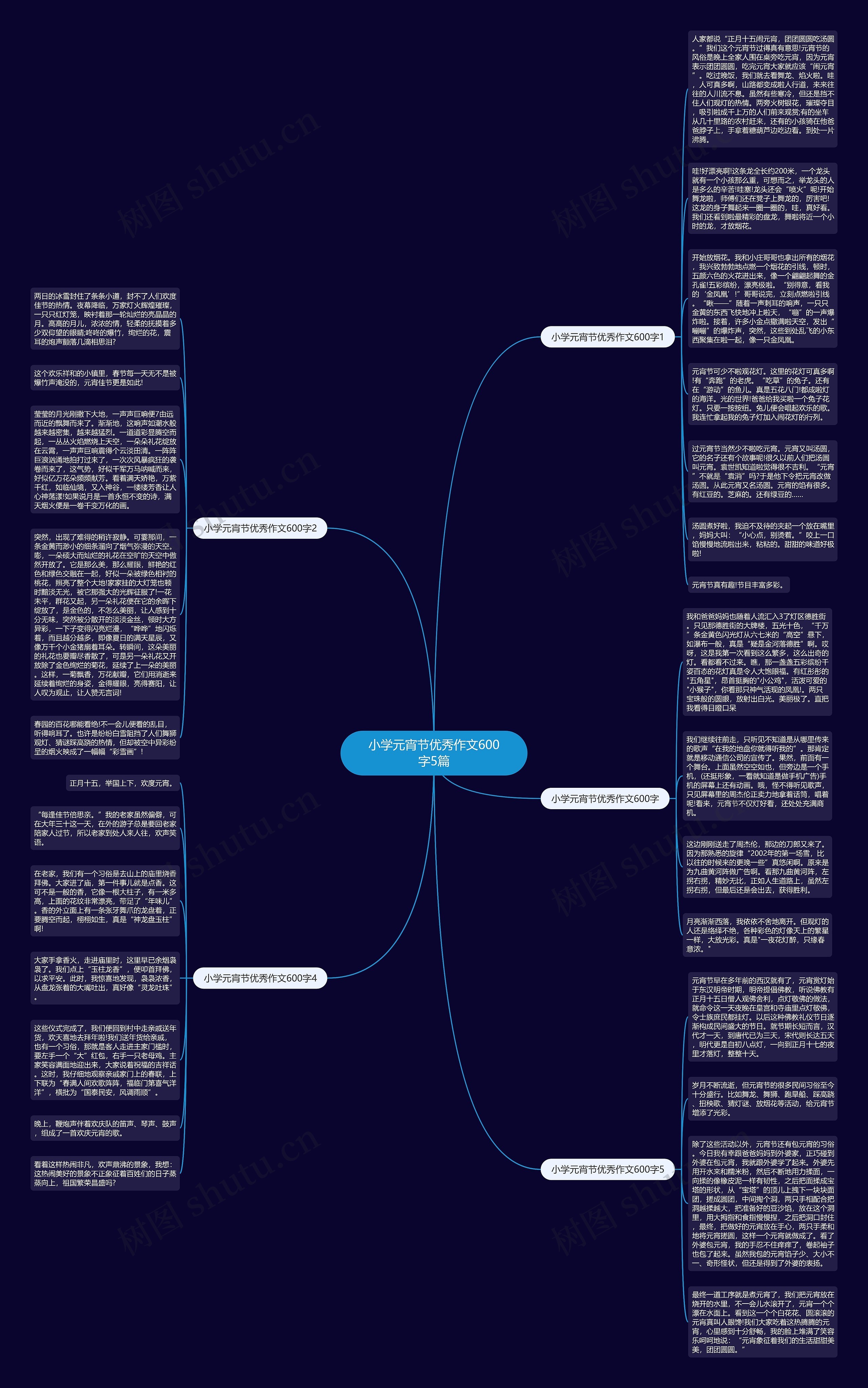 小学元宵节优秀作文600字5篇思维导图