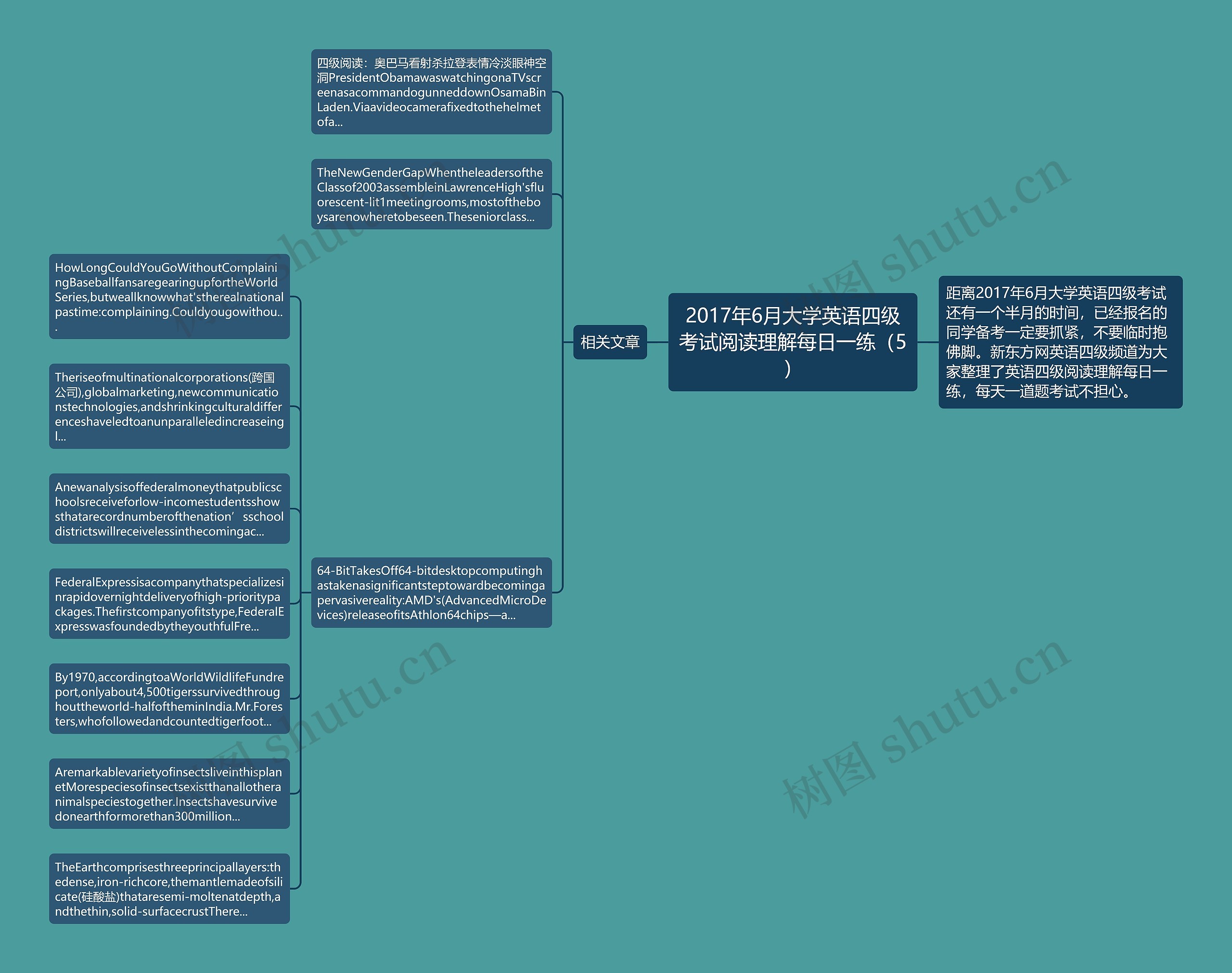 2017年6月大学英语四级考试阅读理解每日一练（5）思维导图