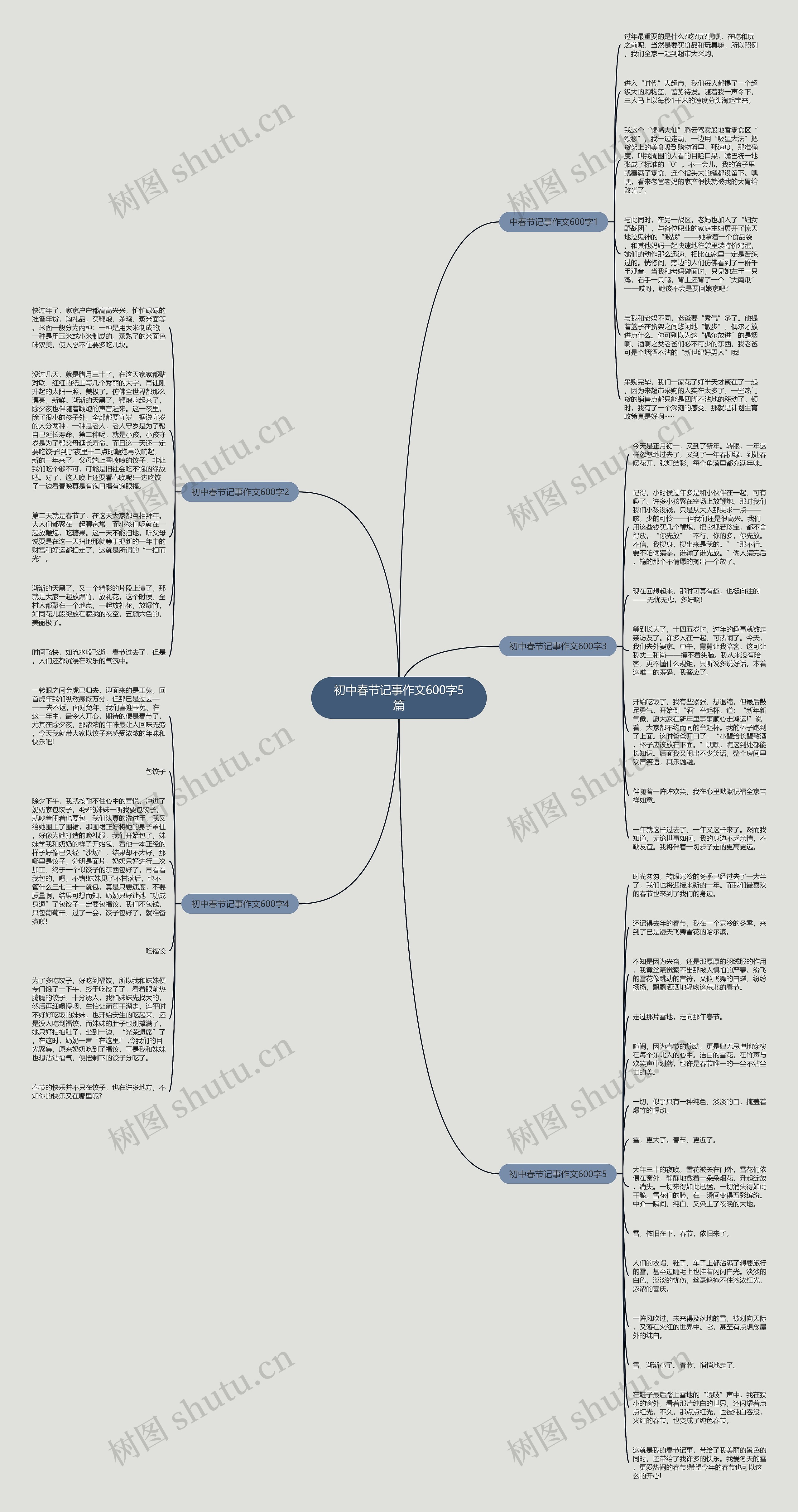 初中春节记事作文600字5篇思维导图
