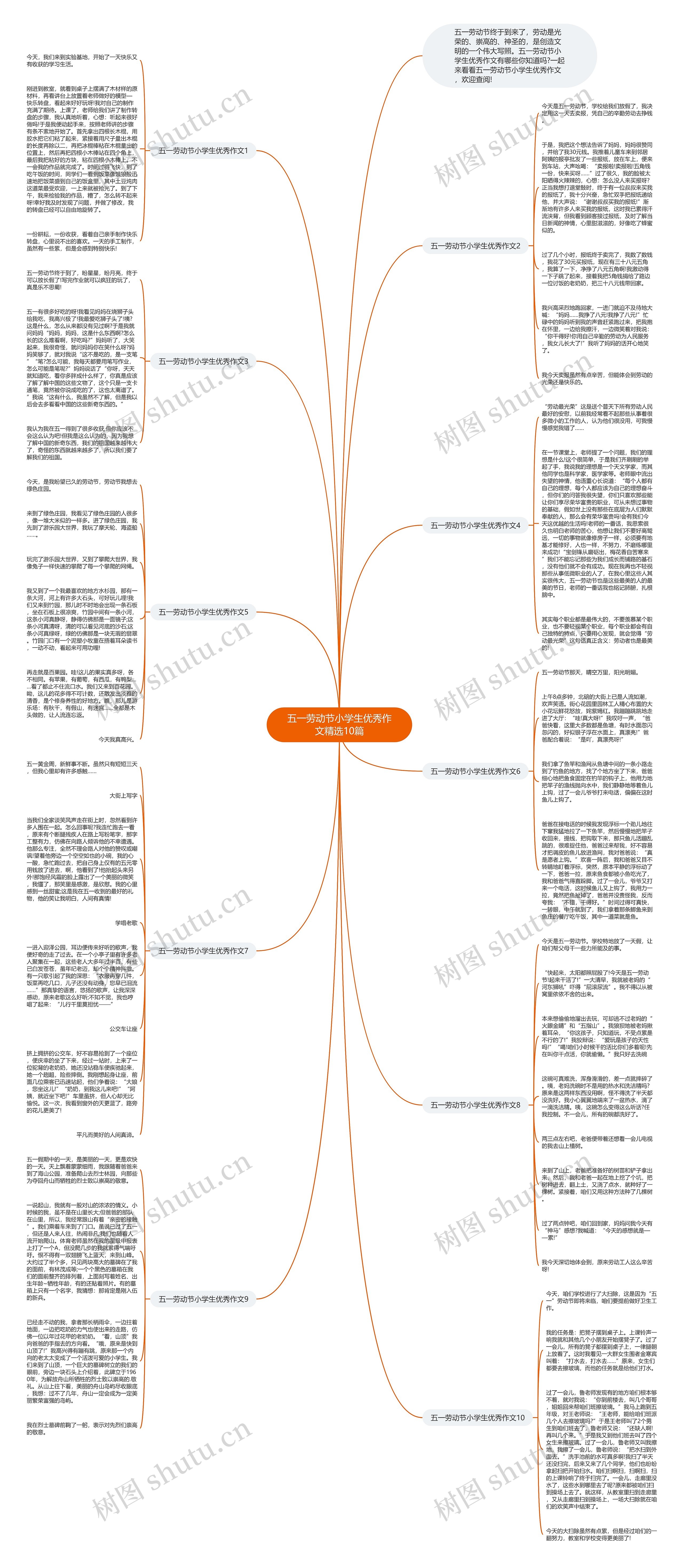 五一劳动节小学生优秀作文精选10篇思维导图
