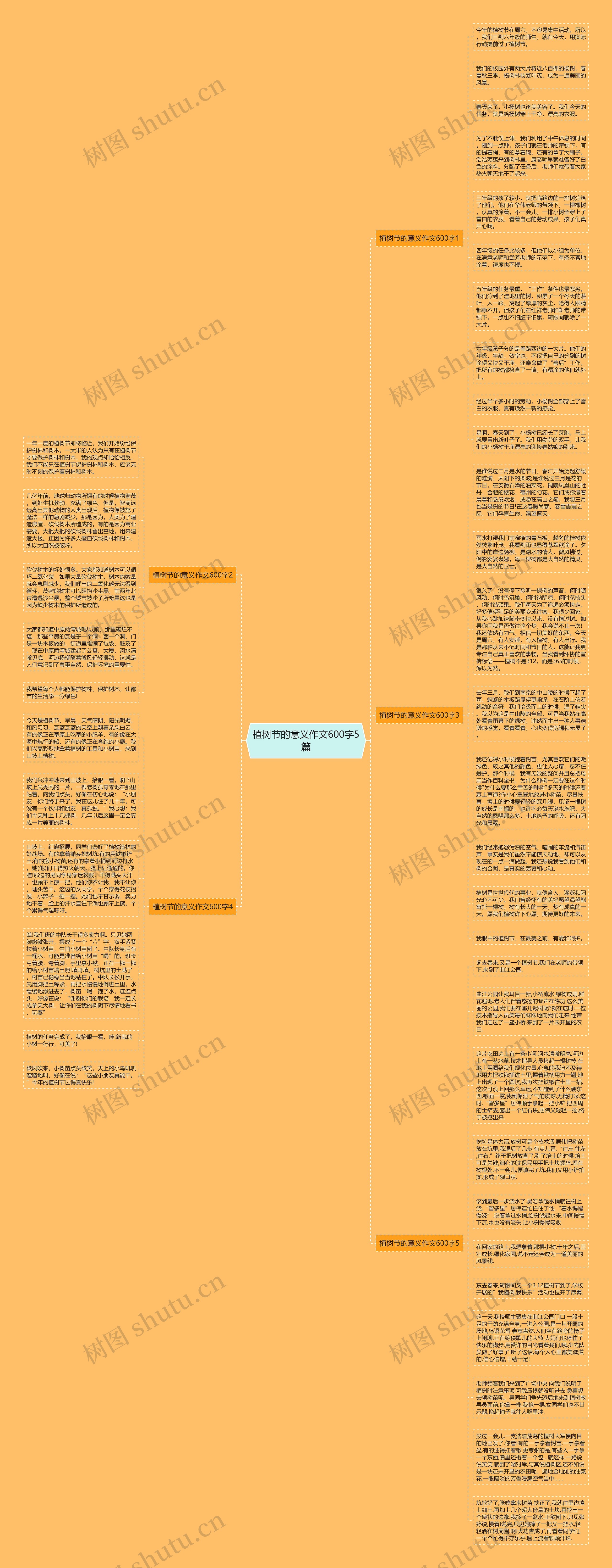 植树节的意义作文600字5篇思维导图
