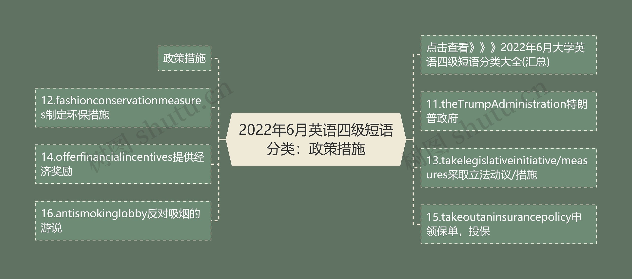 2022年6月英语四级短语分类：政策措施