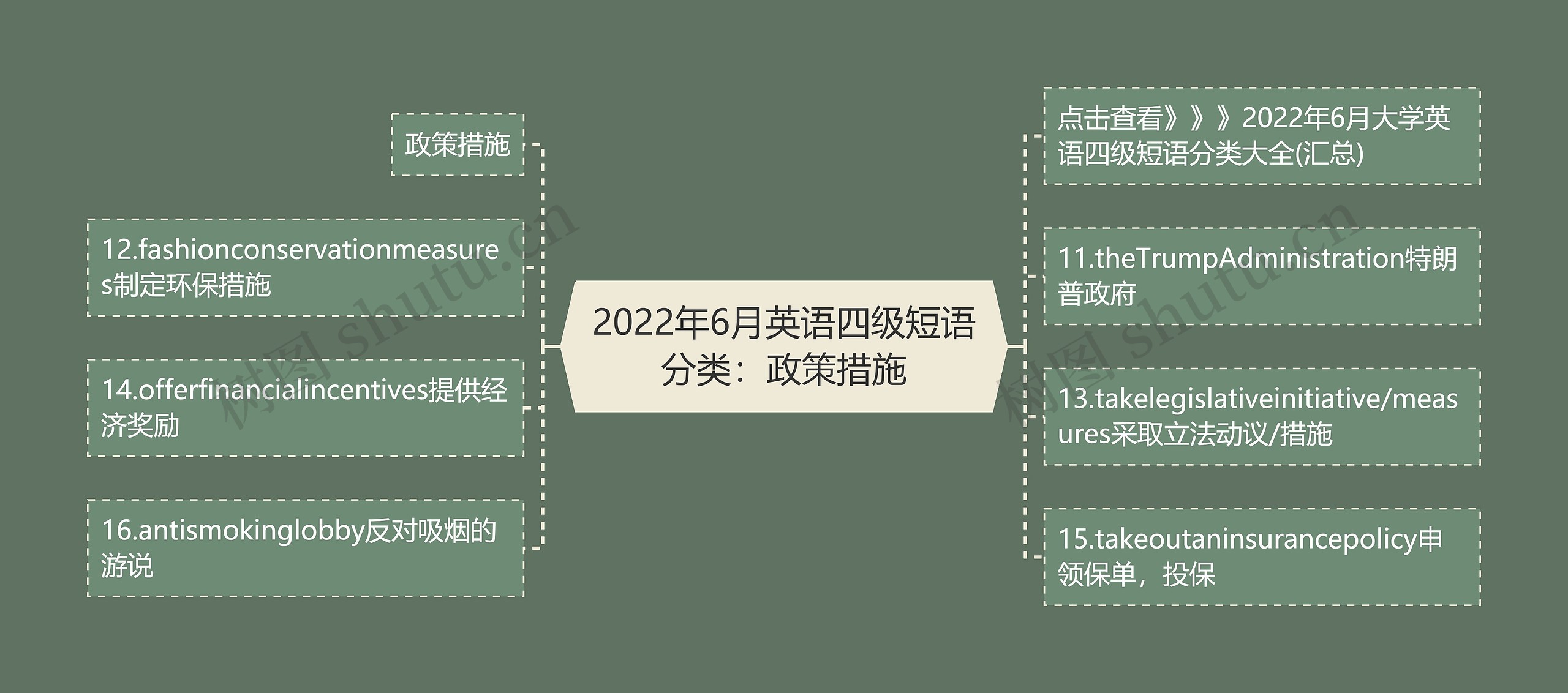 2022年6月英语四级短语分类：政策措施思维导图