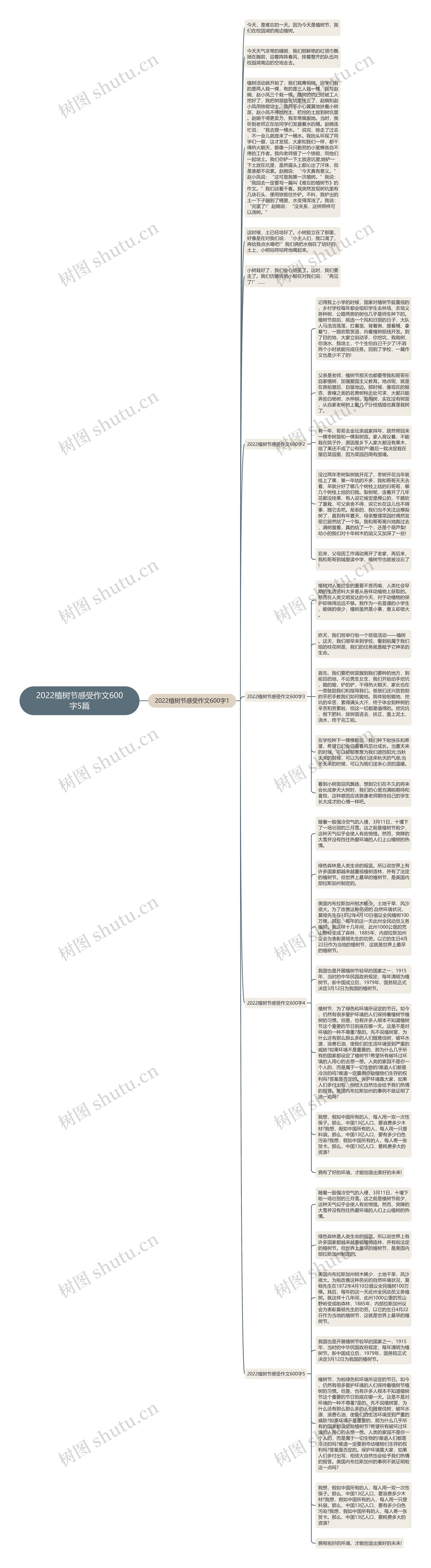 2022植树节感受作文600字5篇思维导图