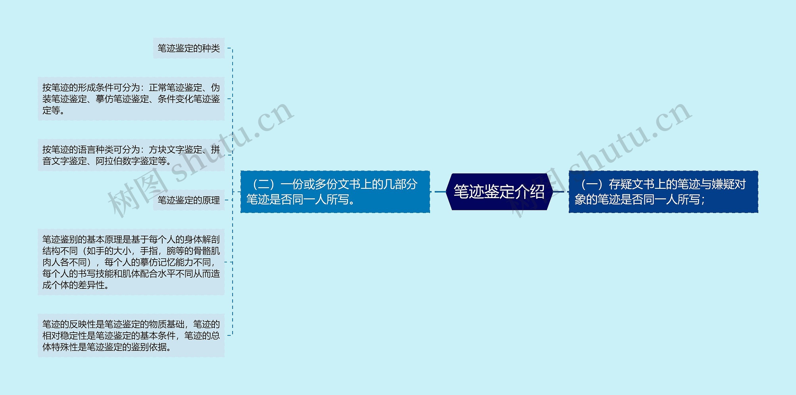 笔迹鉴定介绍思维导图