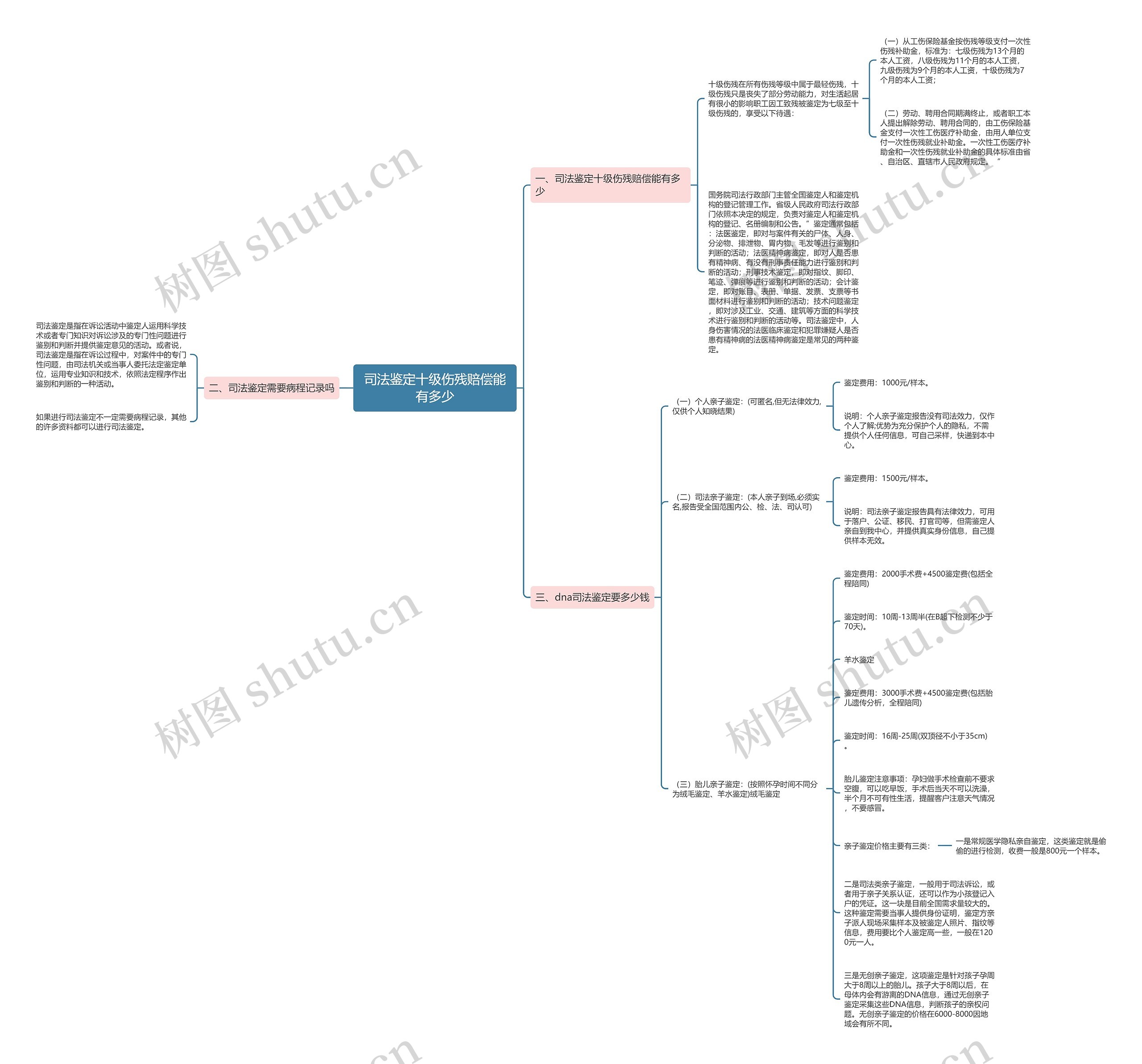 司法鉴定十级伤残赔偿能有多少思维导图
