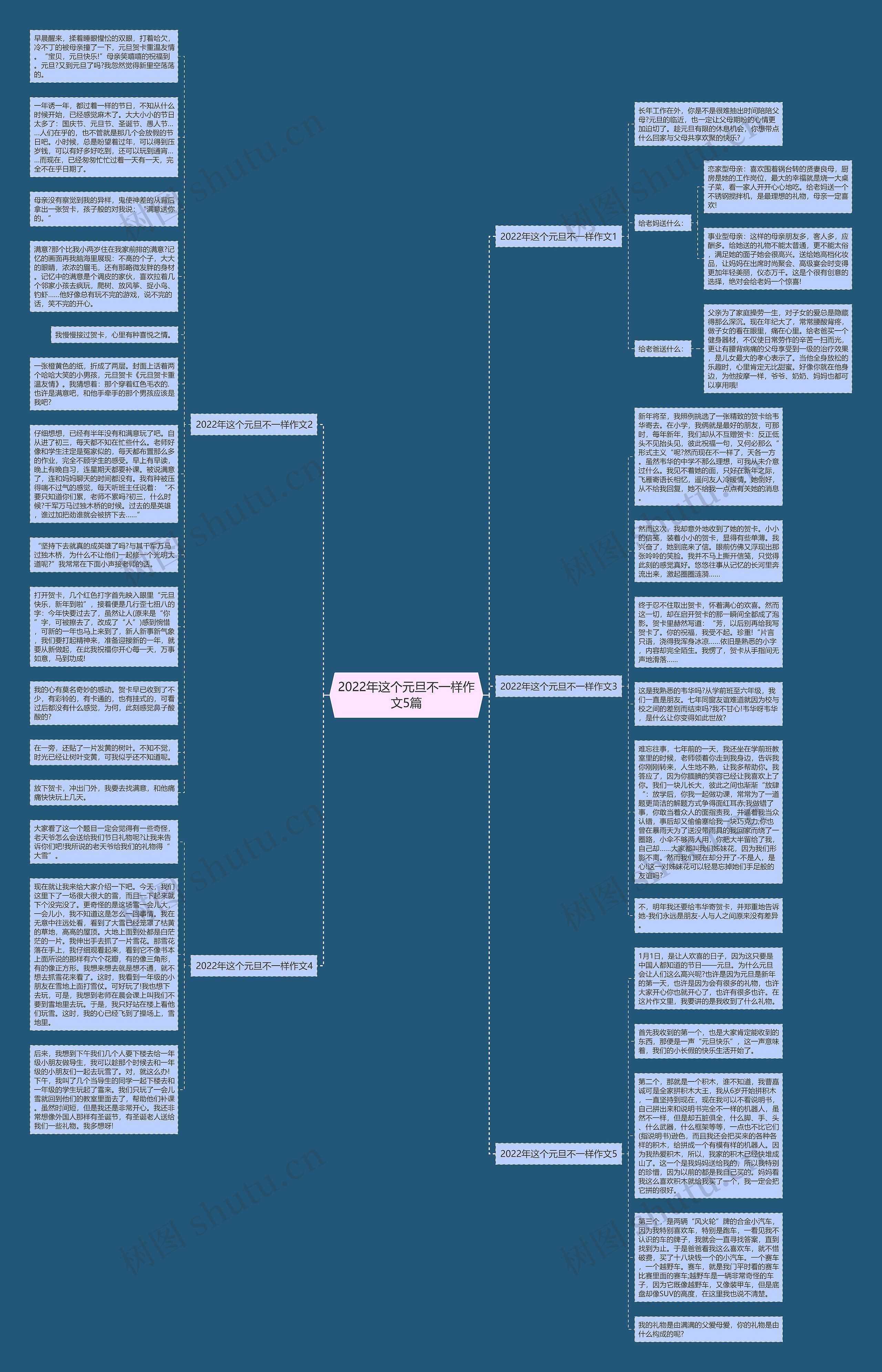 2022年这个元旦不一样作文5篇思维导图