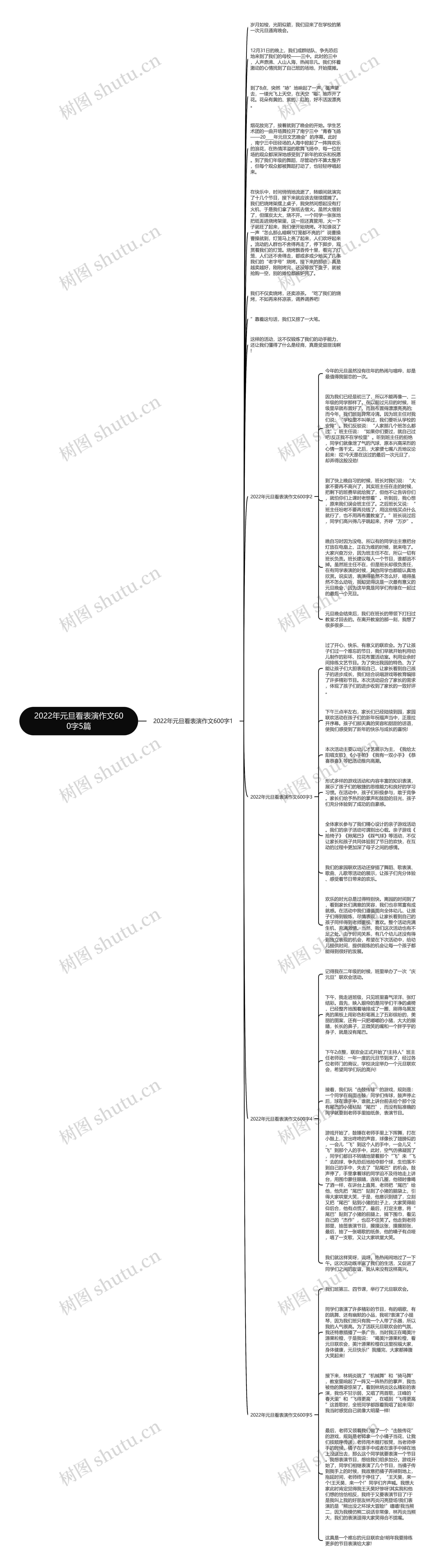 2022年元旦看表演作文600字5篇思维导图