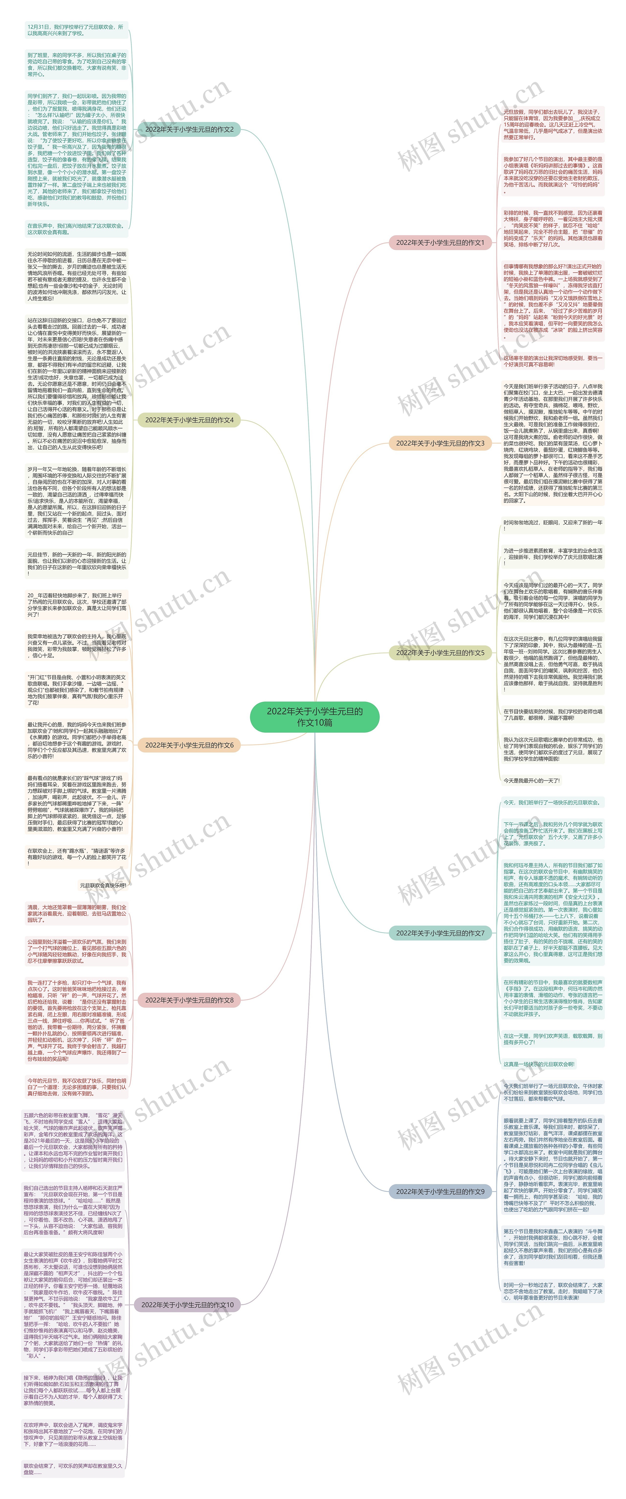 2022年关于小学生元旦的作文10篇思维导图