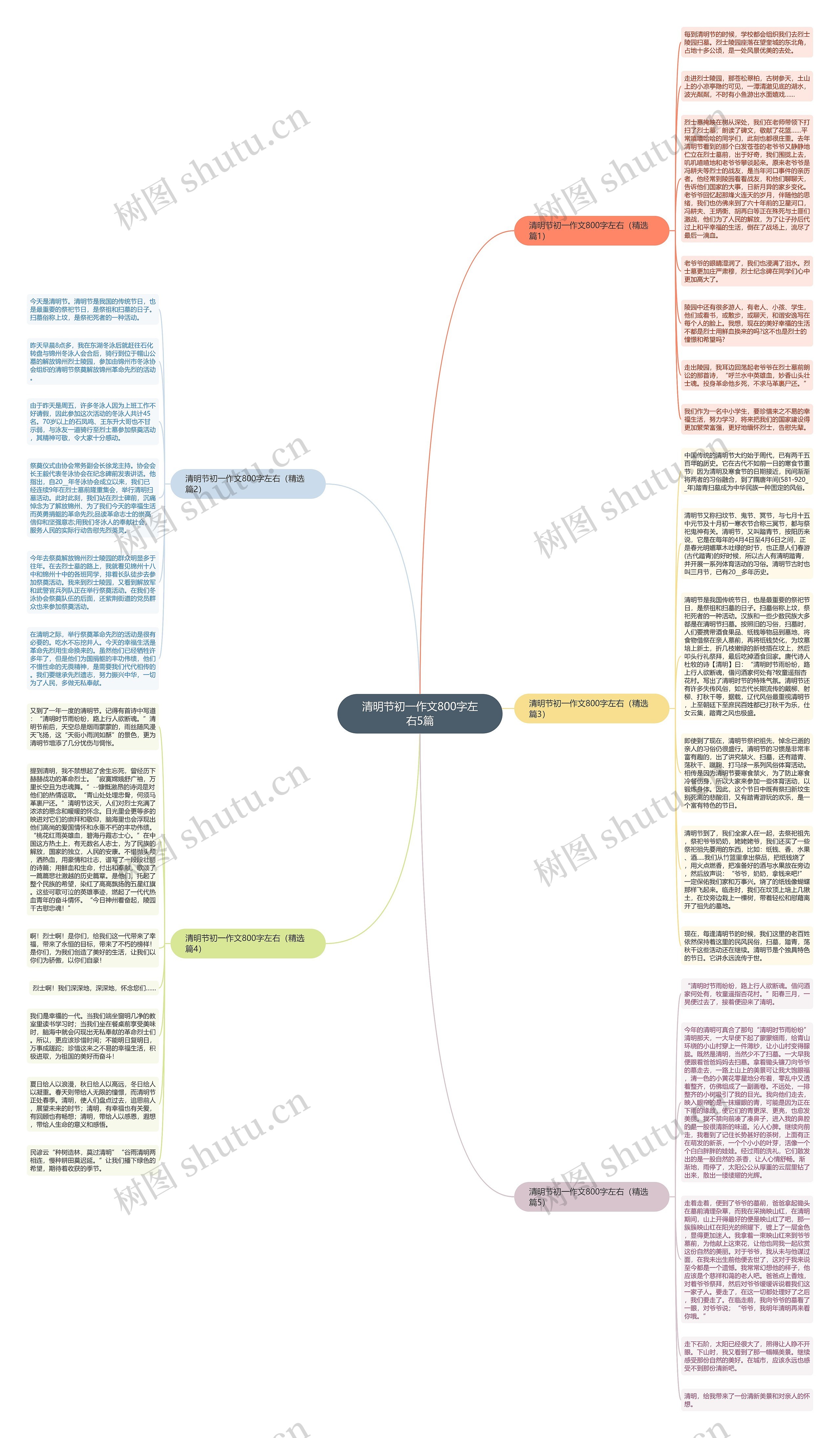 清明节初一作文800字左右5篇思维导图