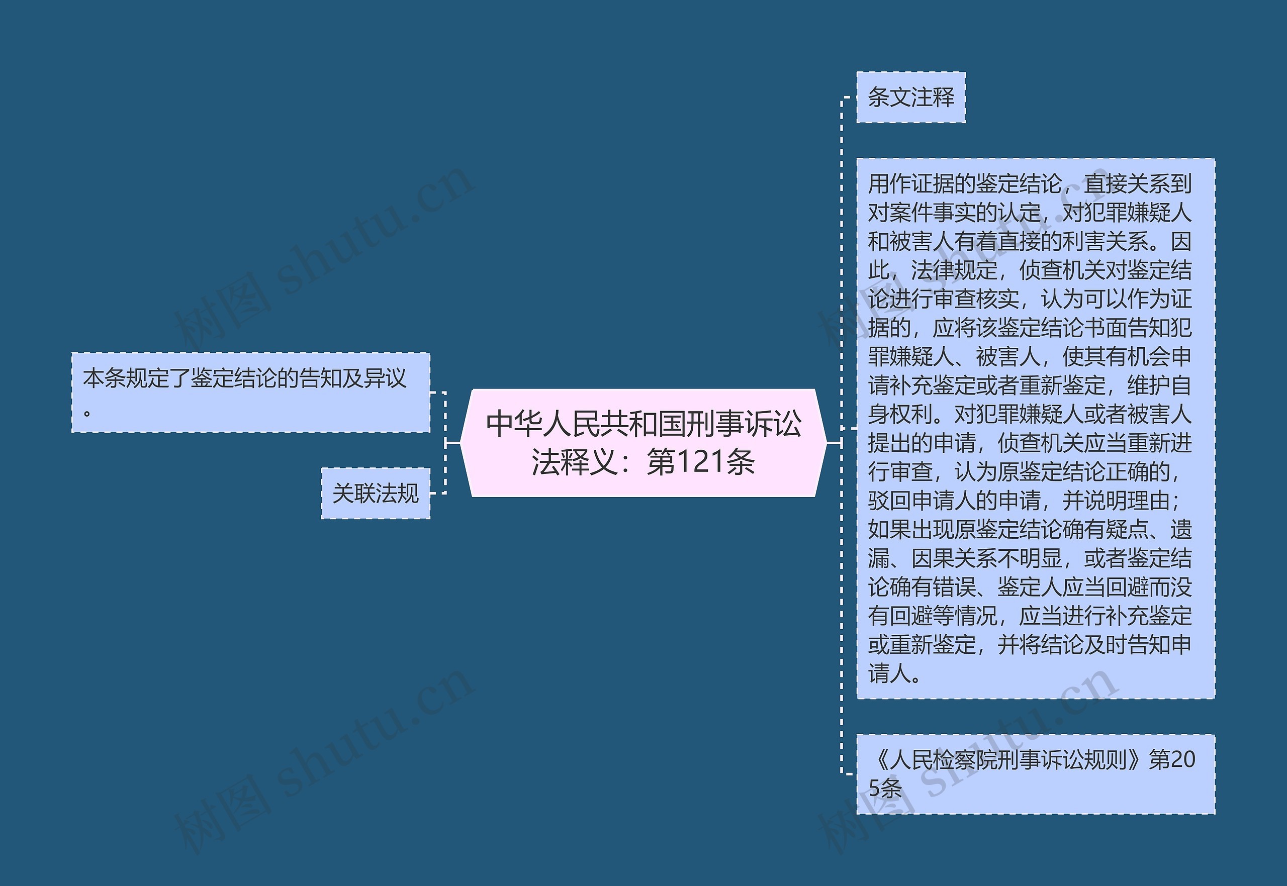 中华人民共和国刑事诉讼法释义：第121条