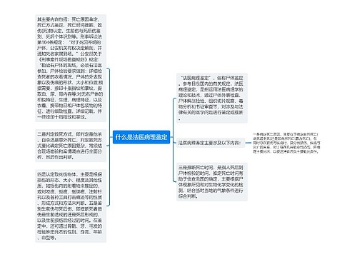 什么是法医病理鉴定