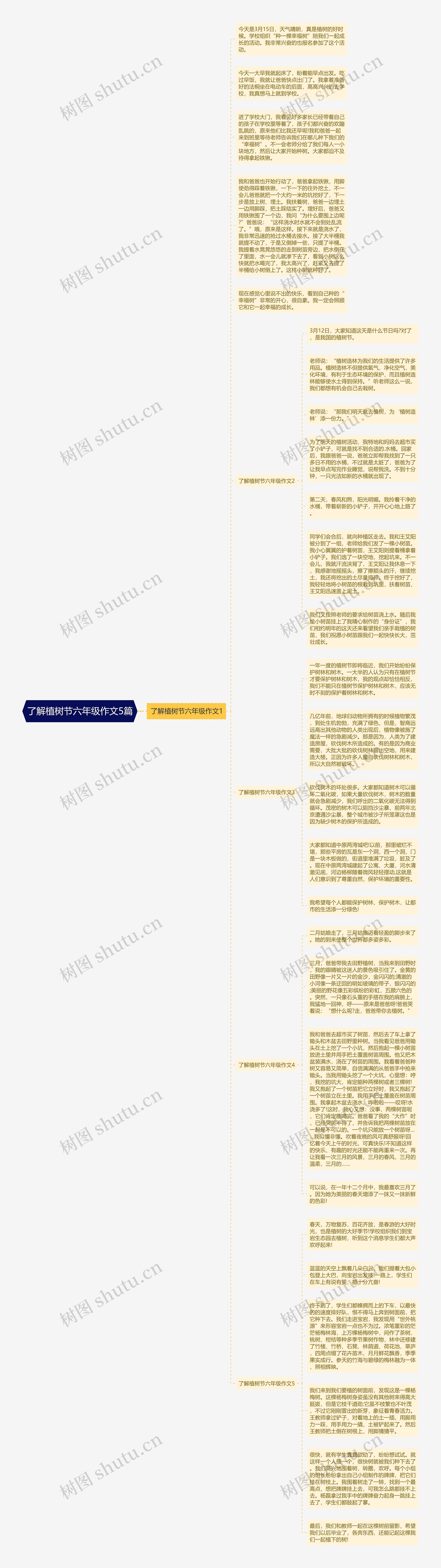 了解植树节六年级作文5篇思维导图