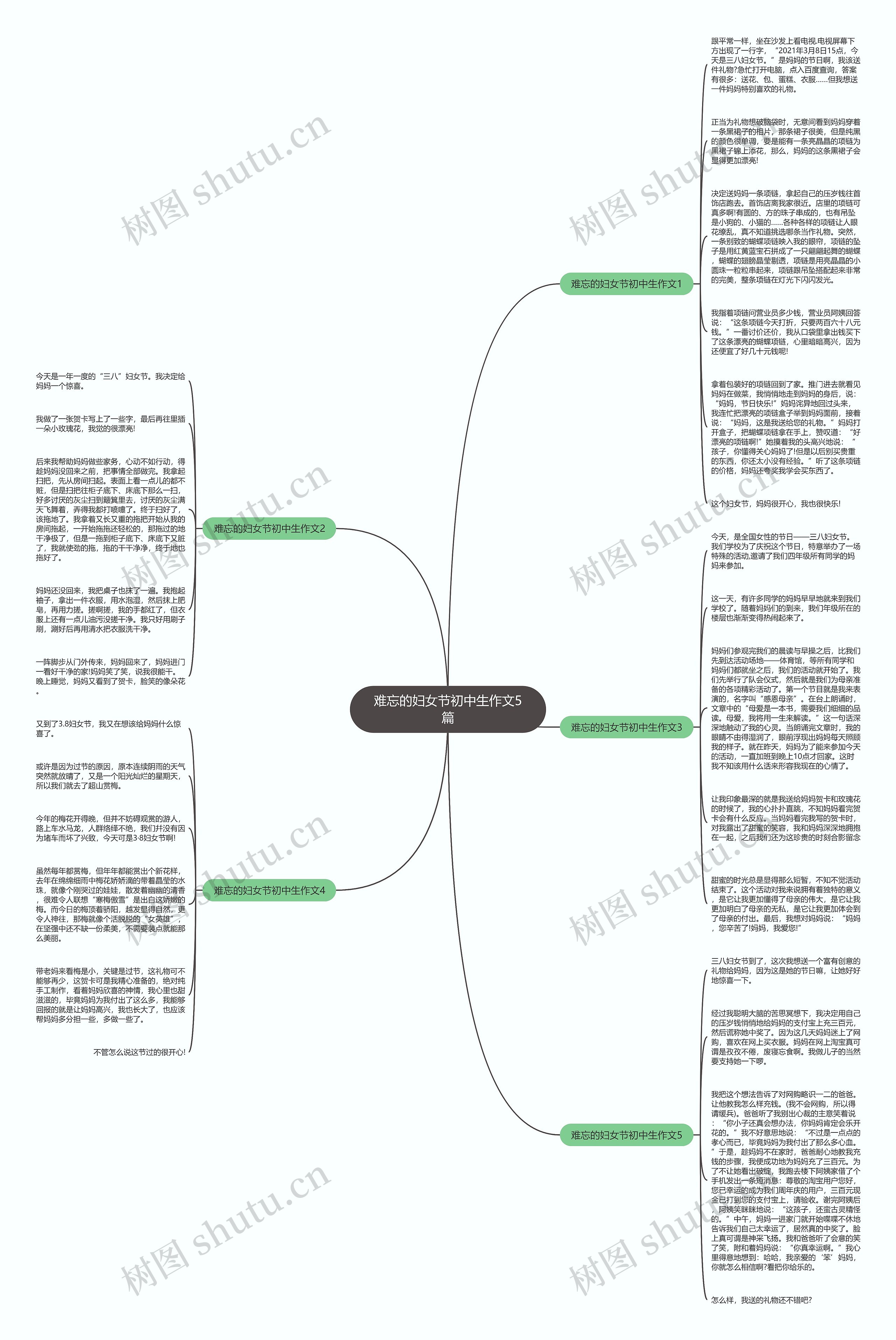 难忘的妇女节初中生作文5篇思维导图