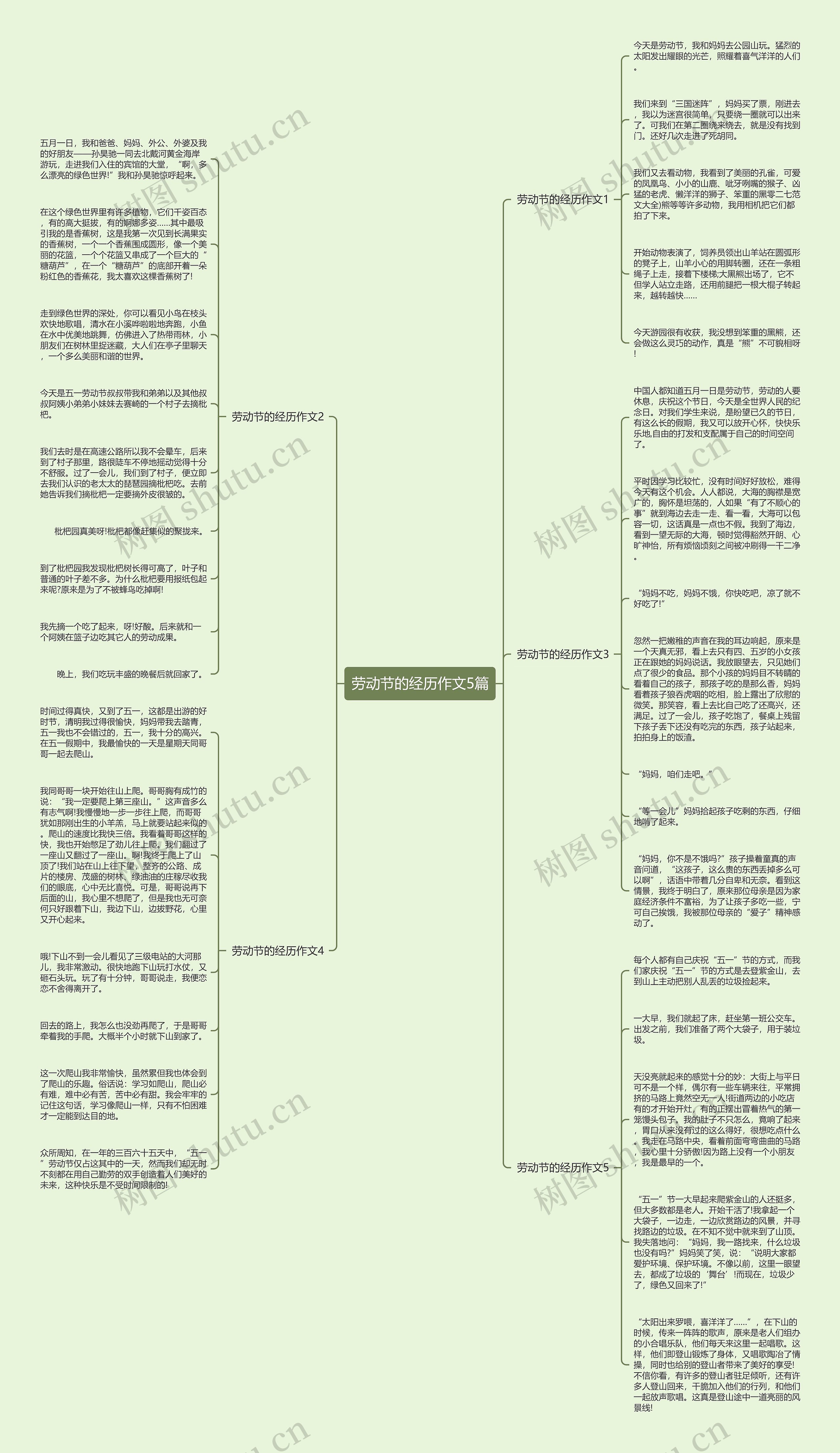 劳动节的经历作文5篇思维导图