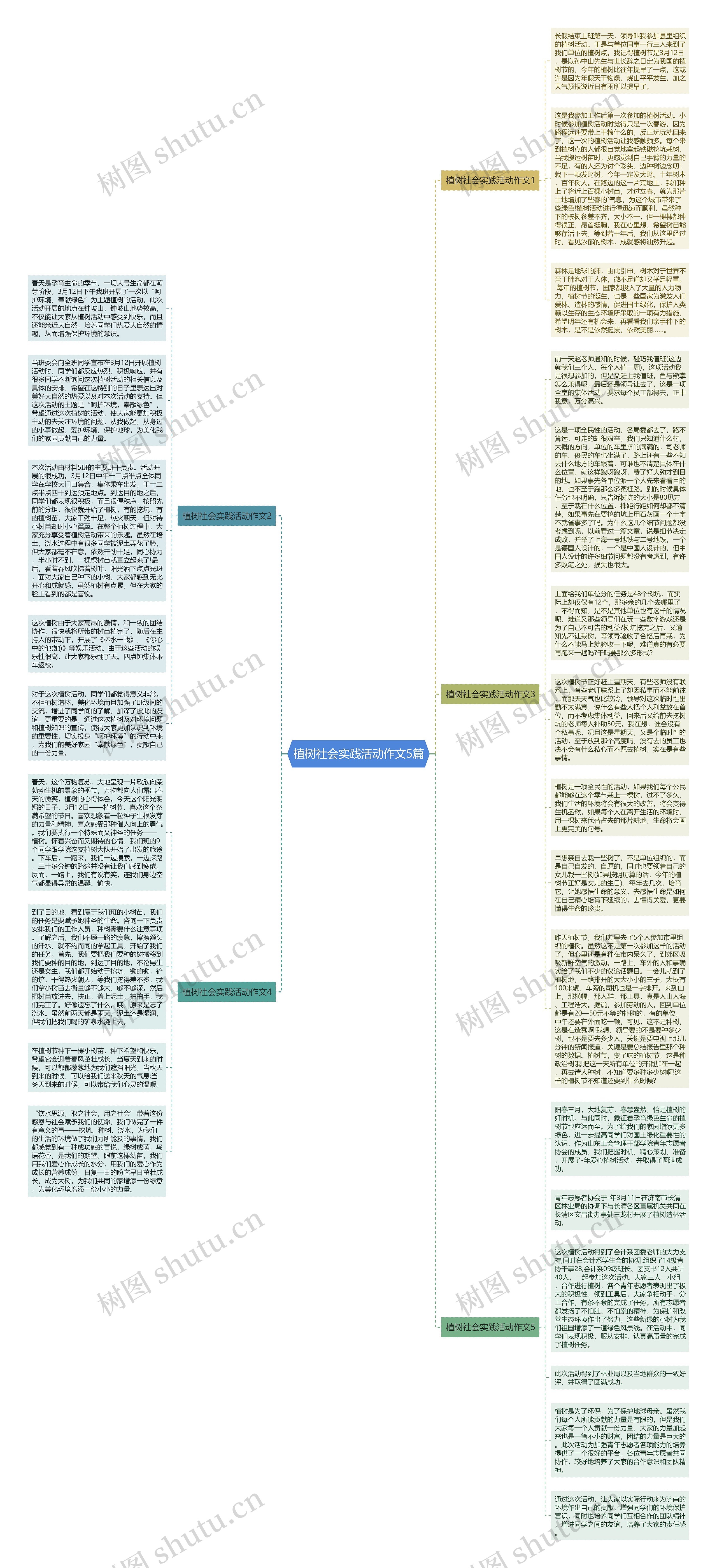 植树社会实践活动作文5篇思维导图