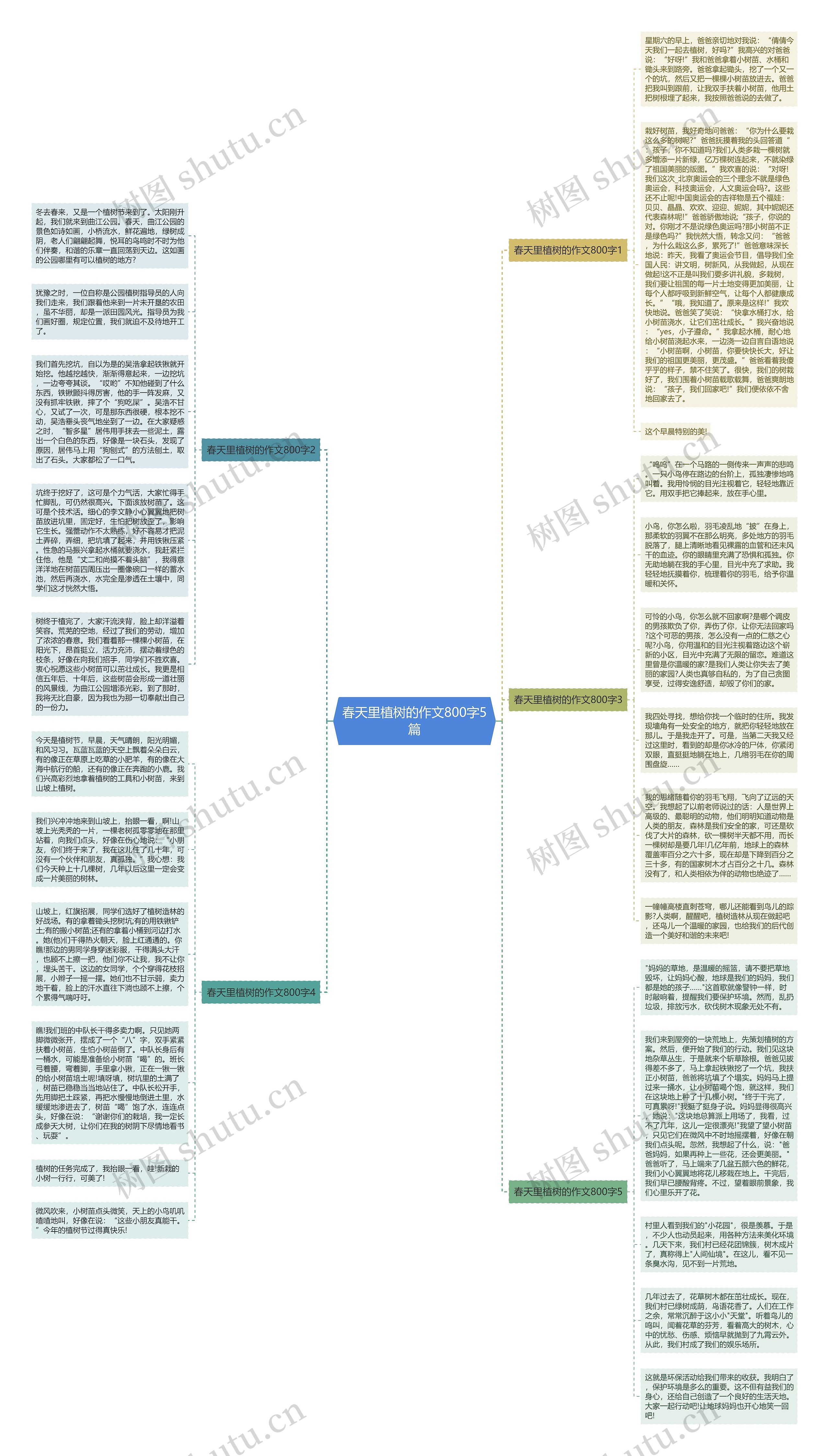 春天里植树的作文800字5篇思维导图