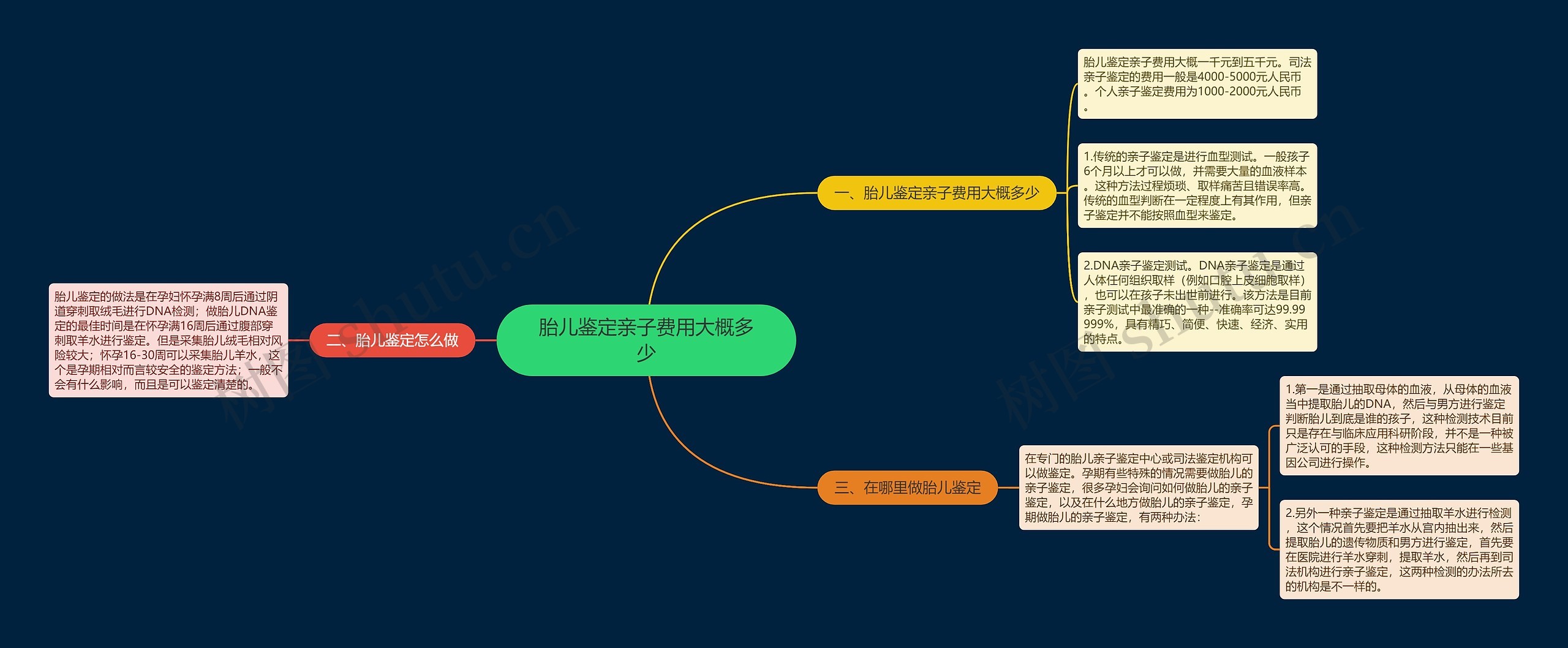 胎儿鉴定亲子费用大概多少思维导图