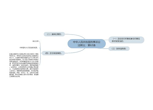 中华人民共和国刑事诉讼法释义：第63条