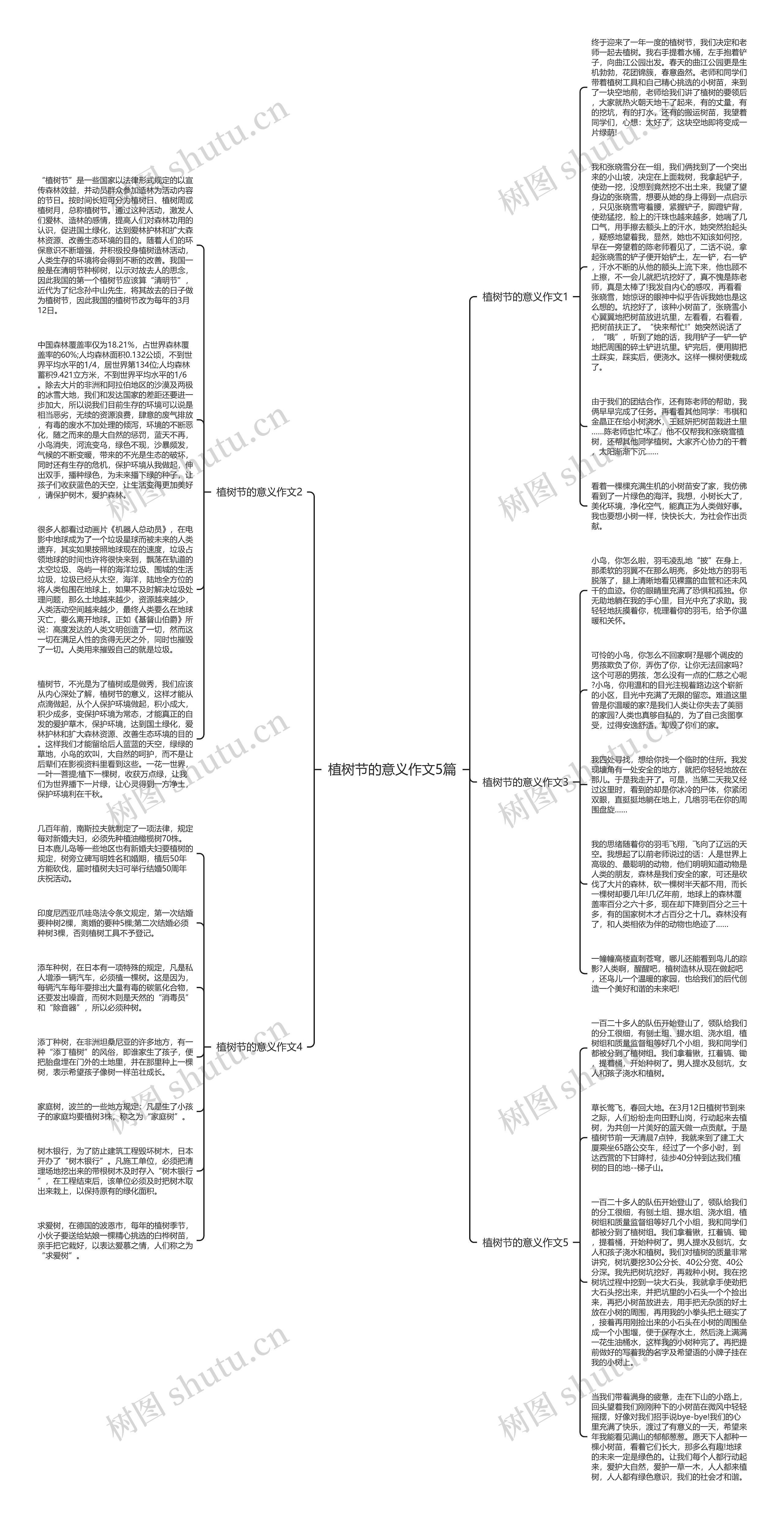 植树节的意义作文5篇思维导图高清图 植树节的意义作文5篇思维导图