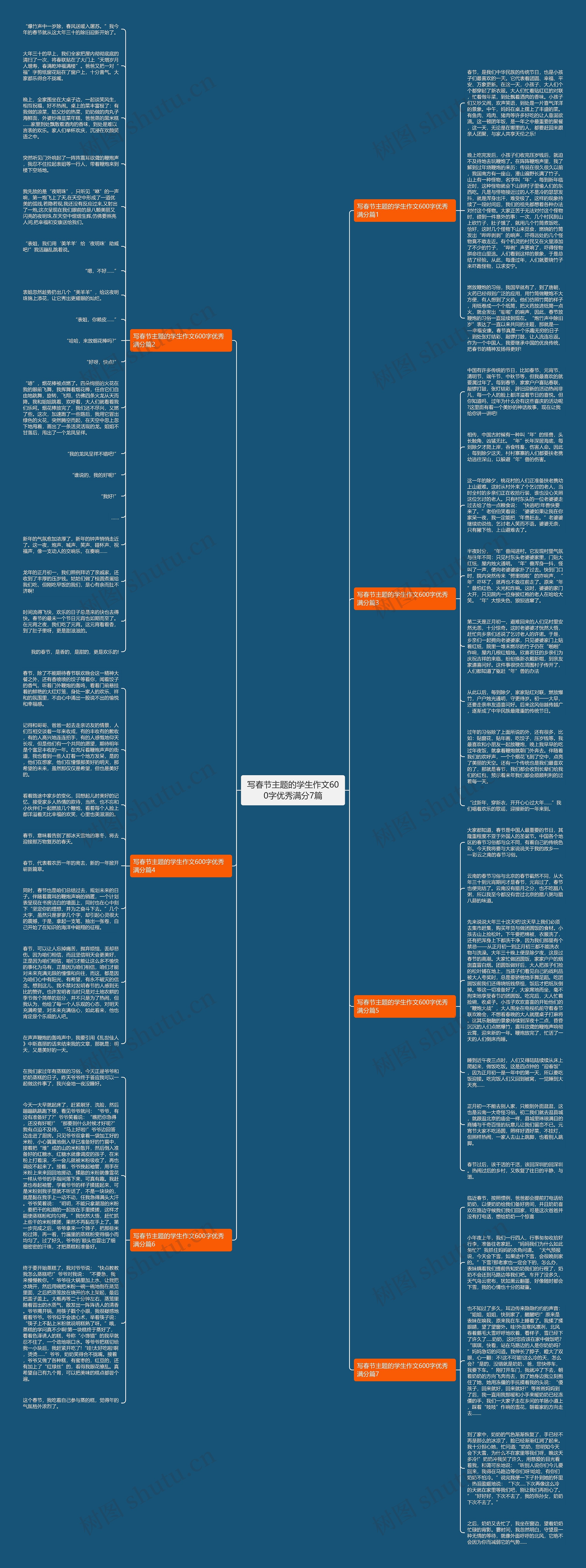 写春节主题的学生作文600字优秀满分7篇思维导图