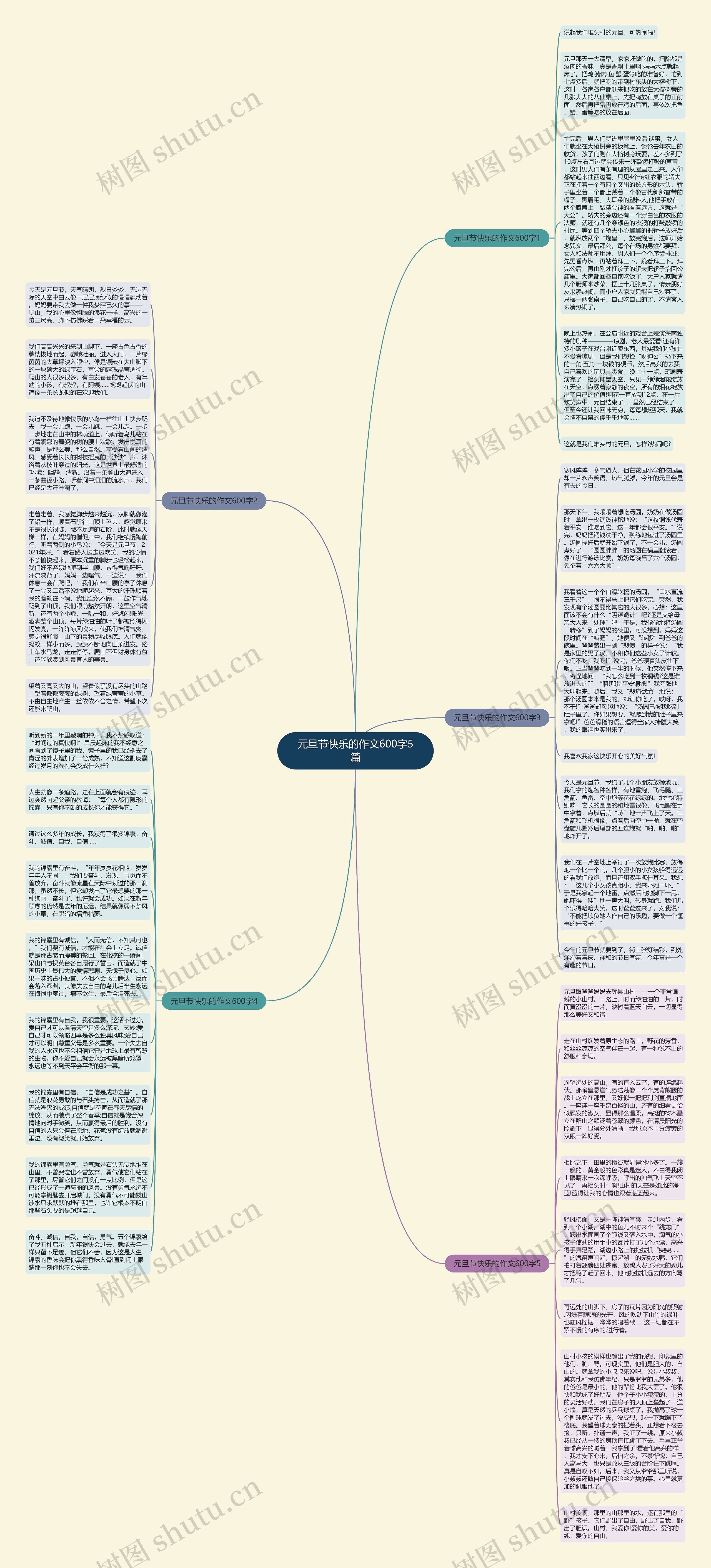 元旦节快乐的作文600字5篇思维导图