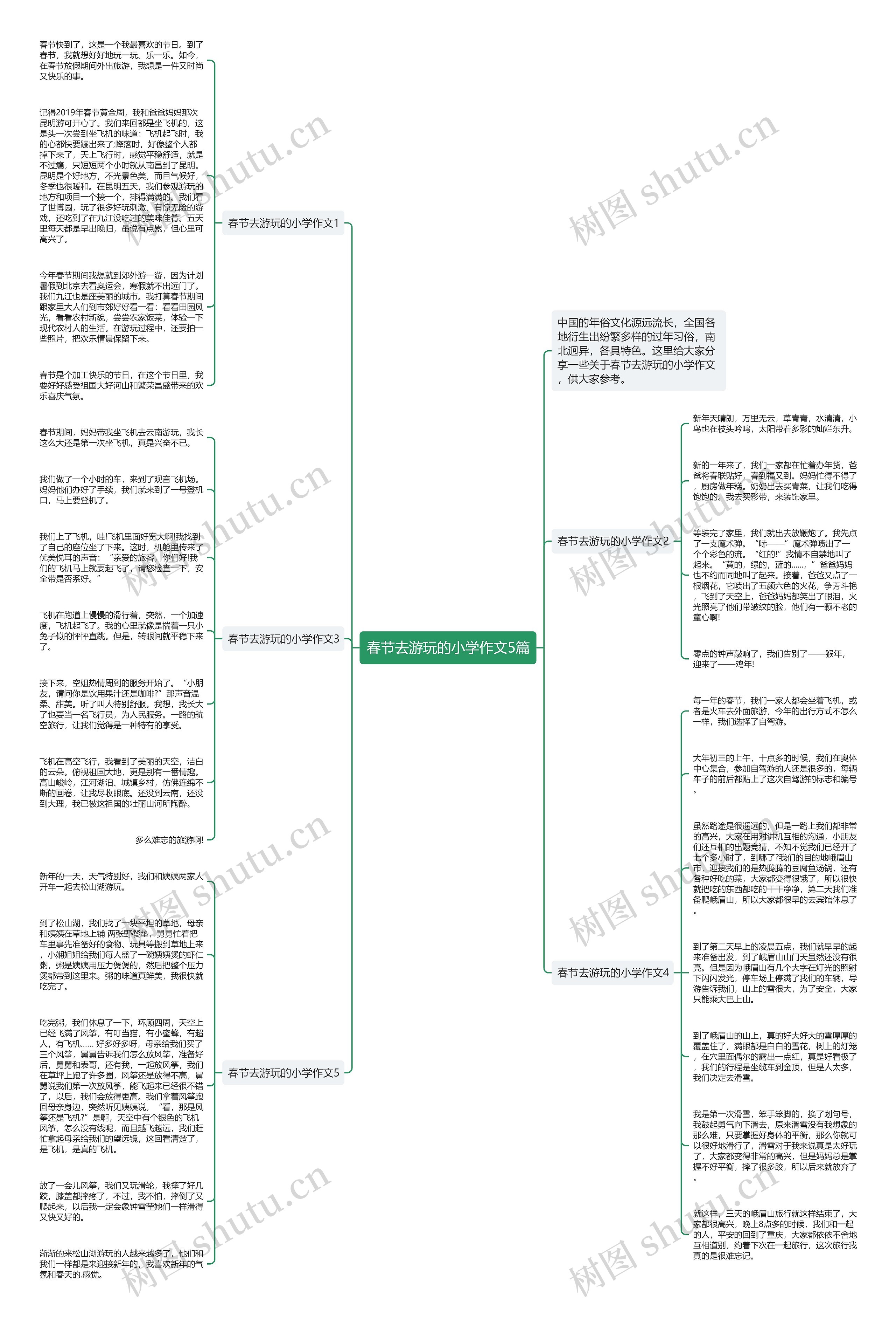 春节去游玩的小学作文5篇思维导图