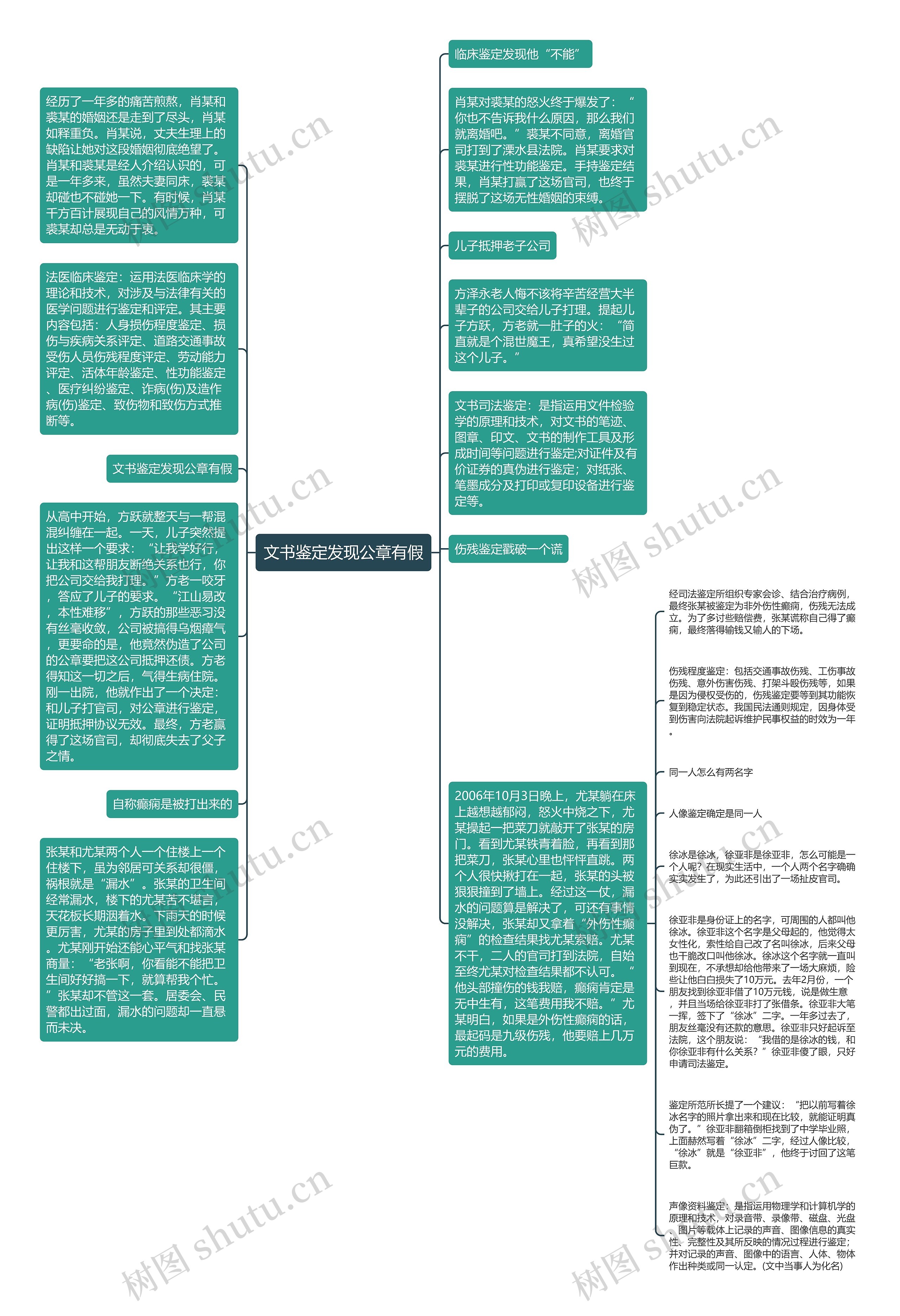 文书鉴定发现公章有假思维导图