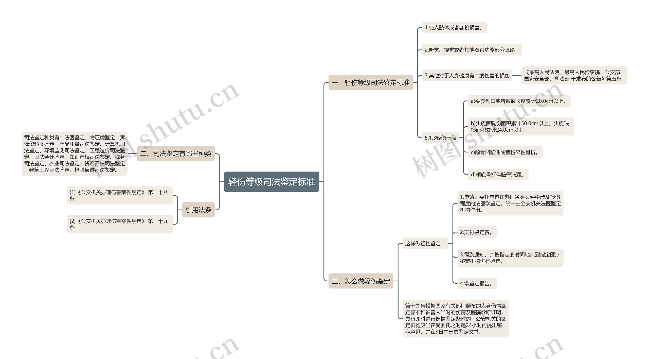 轻伤等级司法鉴定标准思维导图