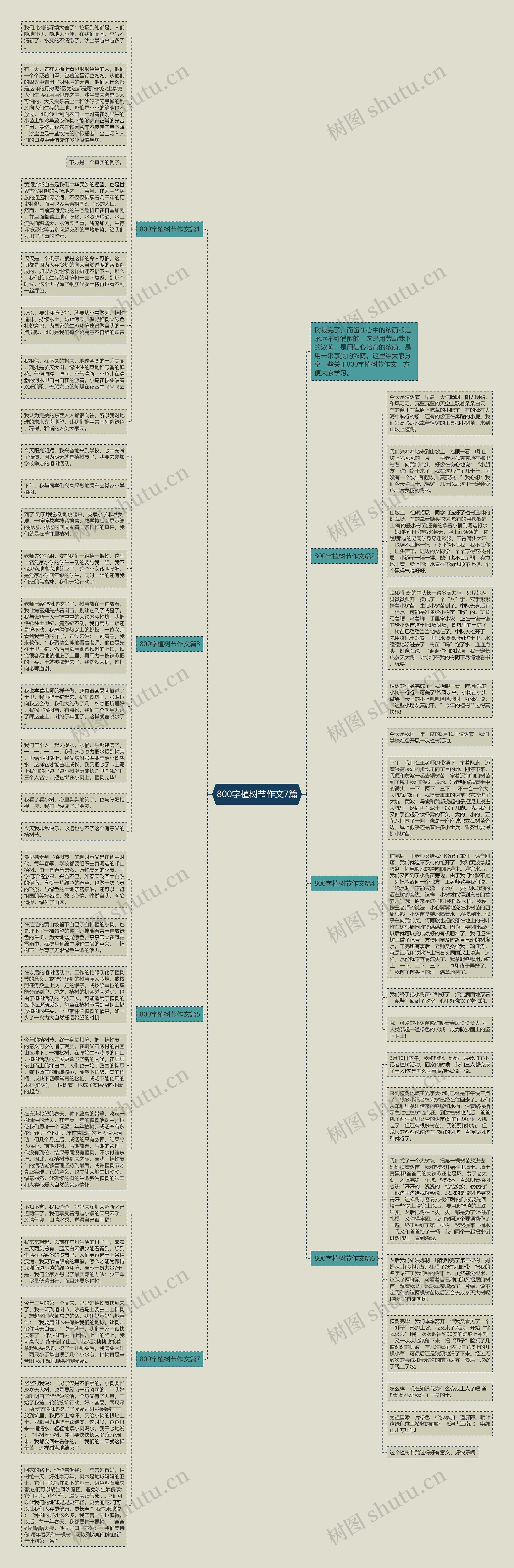 800字植树节作文7篇思维导图