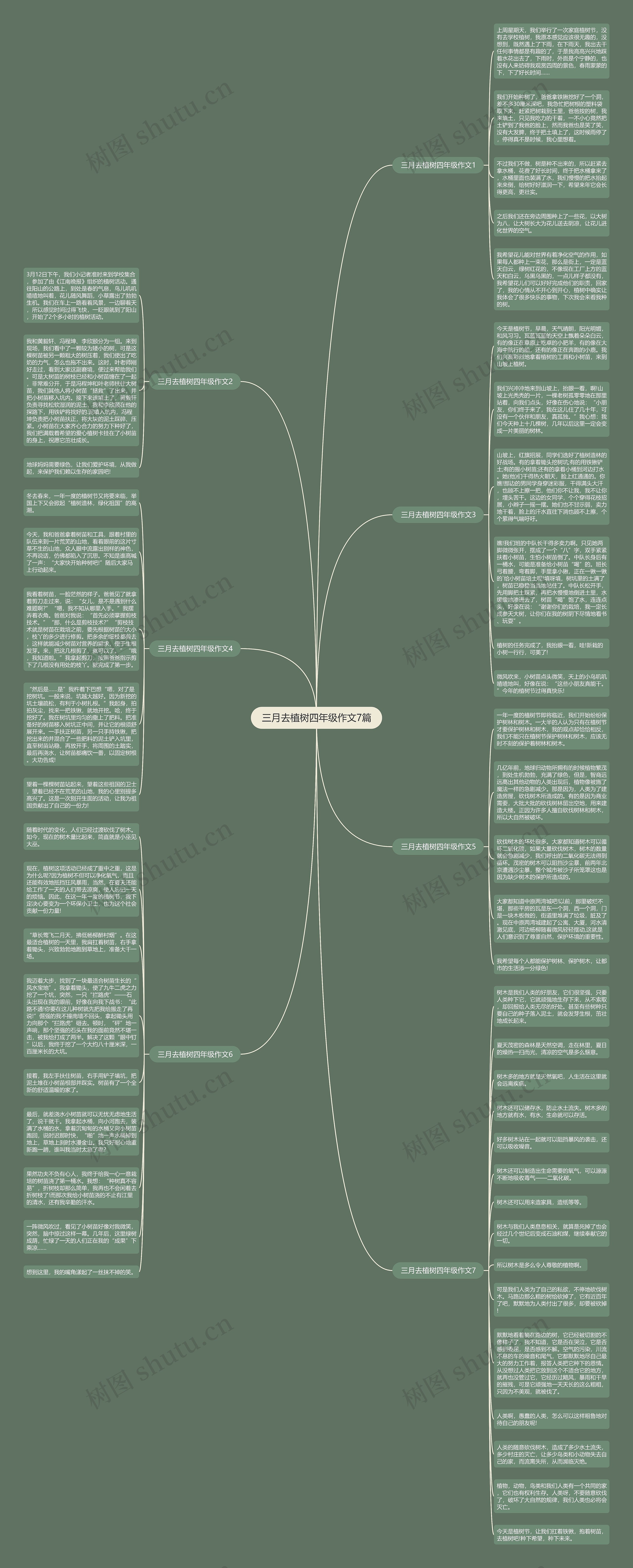 三月去植树四年级作文7篇思维导图