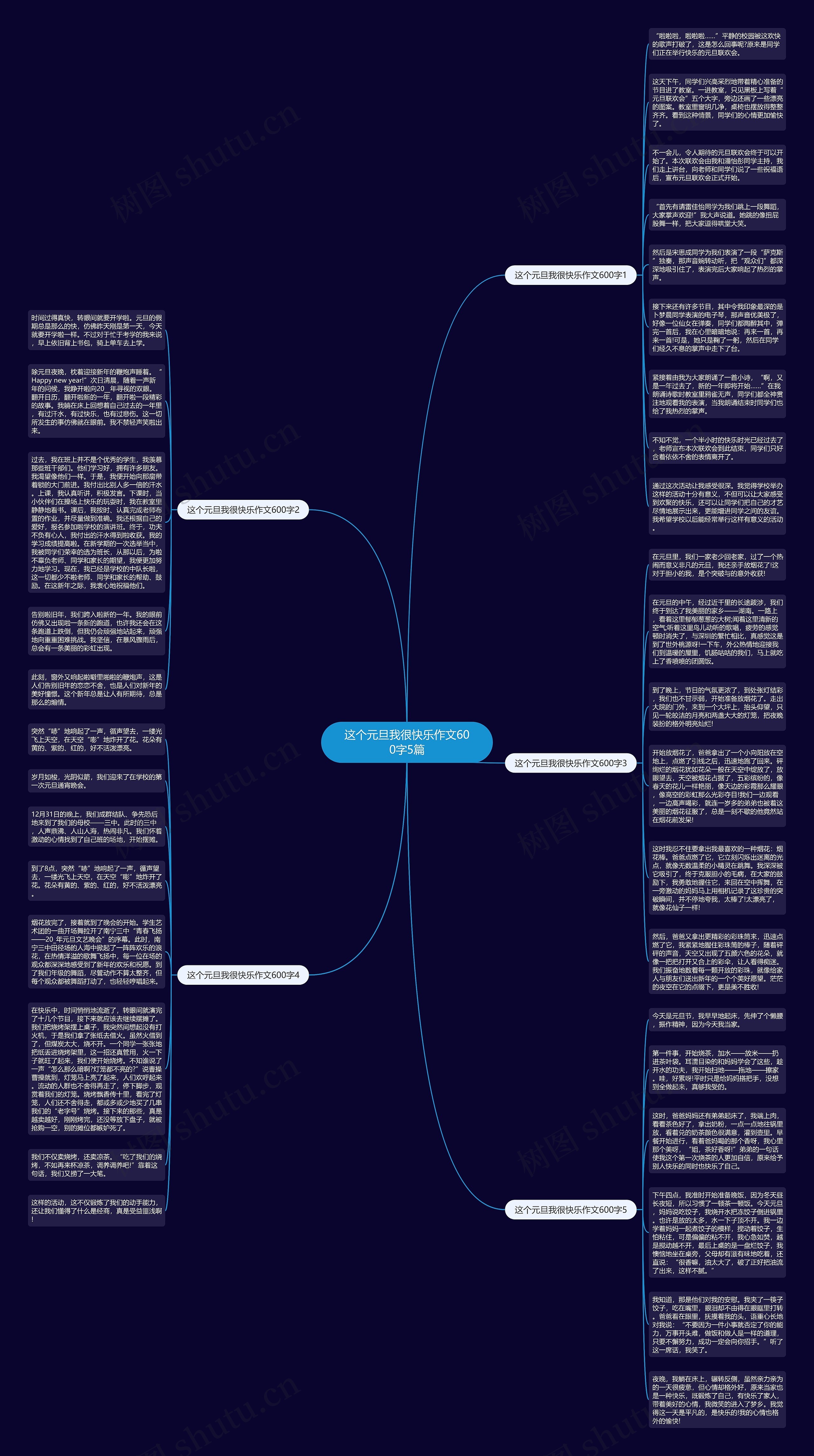 这个元旦我很快乐作文600字5篇思维导图