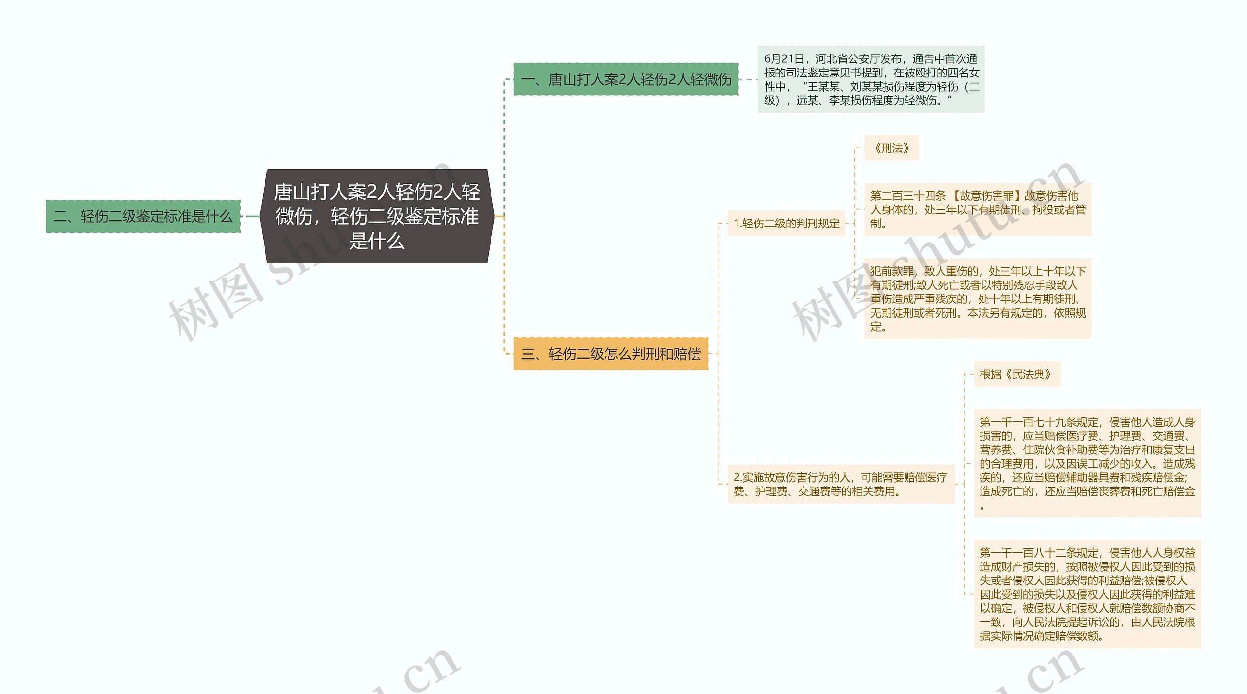 唐山打人案2人轻伤2人轻微伤，轻伤二级鉴定标准是什么